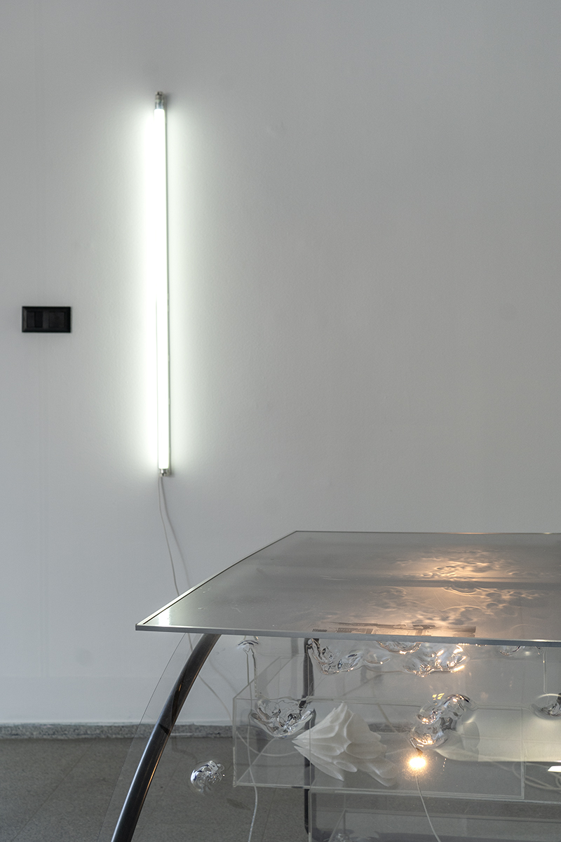 Linda Lach, Apple Core, exhibition view, 2023.