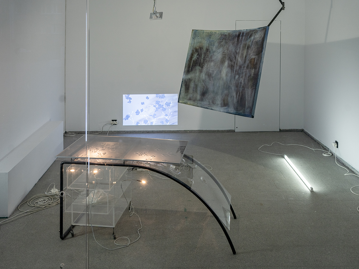 Linda Lach, Apple Core, exhibition view, 2023.