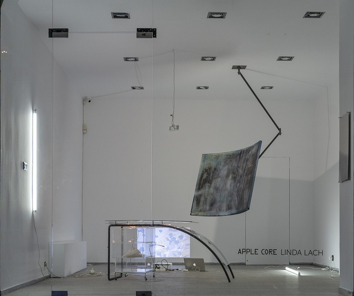 Linda Lach, Apple Core, exhibition view, 2023.
