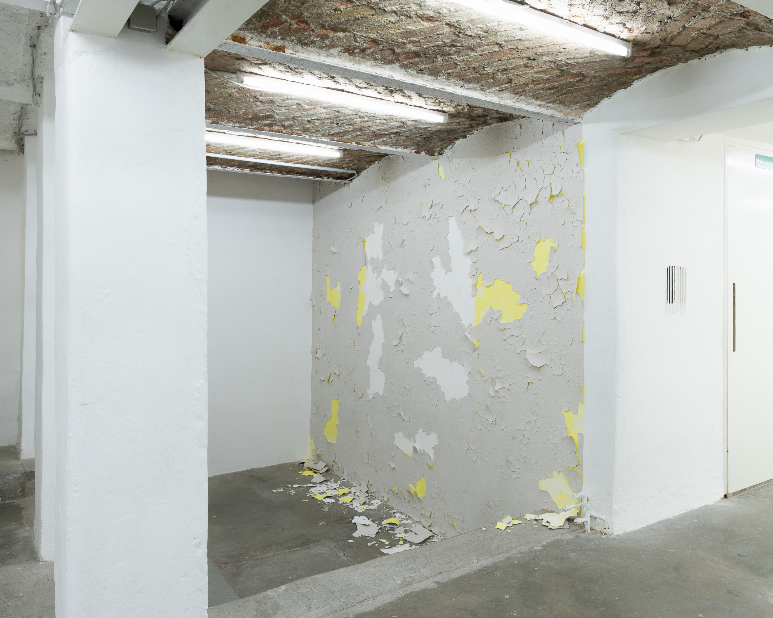 David Kroell, SELBSTHÃ„UTENDE WAND, 2023, Ton, Pigment, Binder 210x260 cm