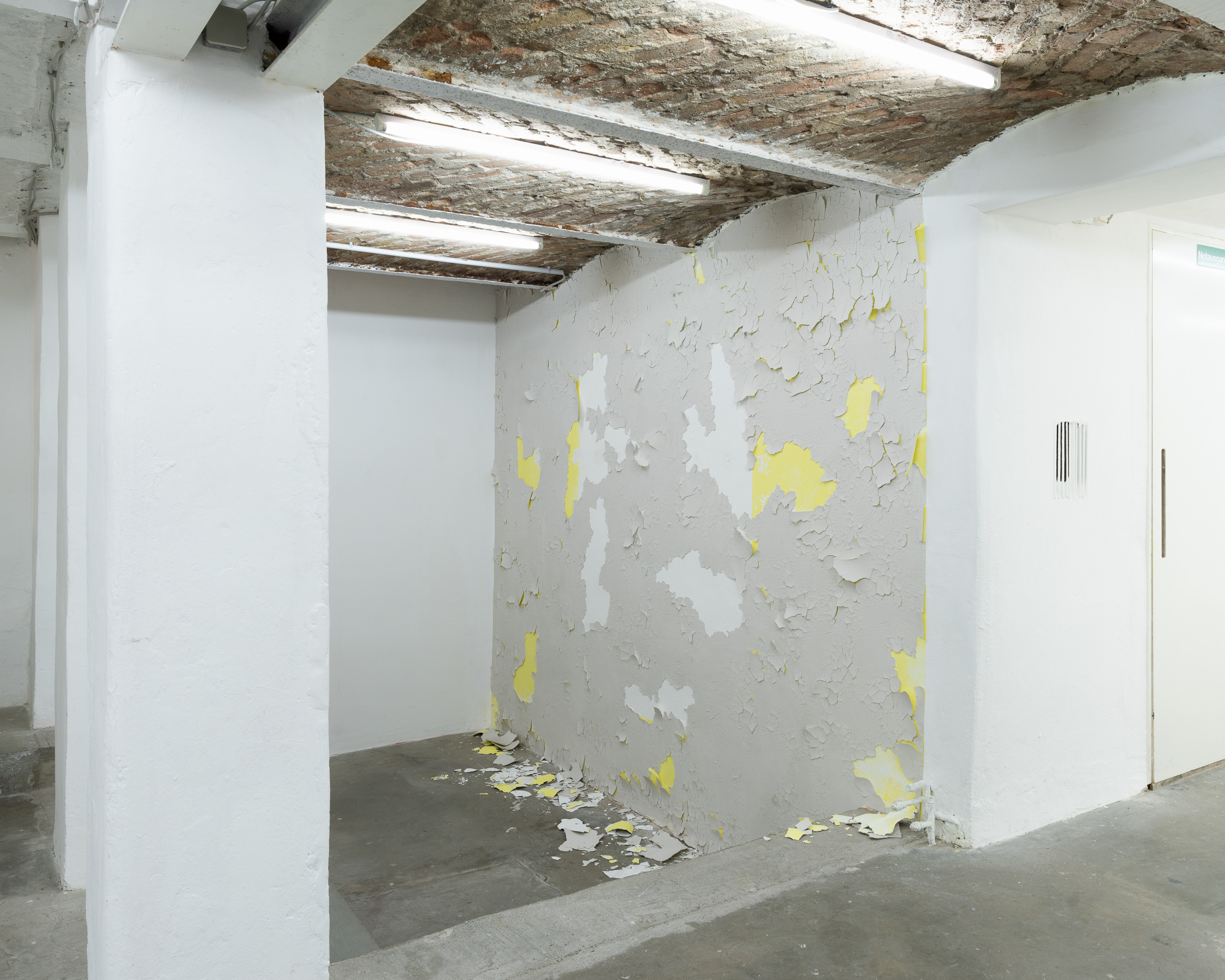 David Kroell, SELBSTHÄUTENDE WAND, 2023, Ton, Pigment, Binder 210x260 cm