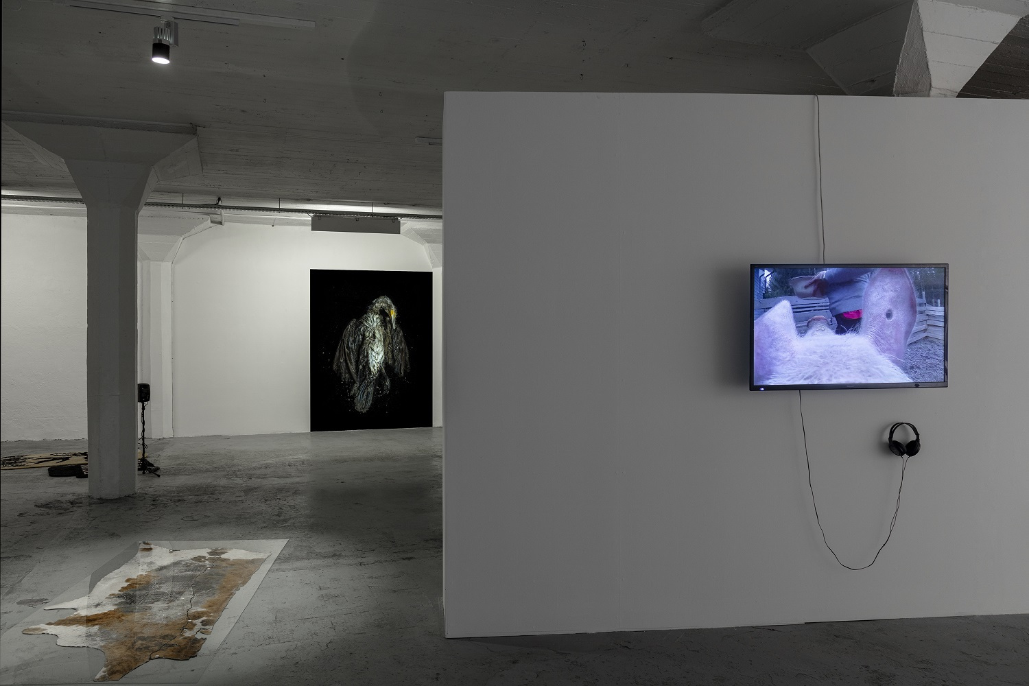 Installation view