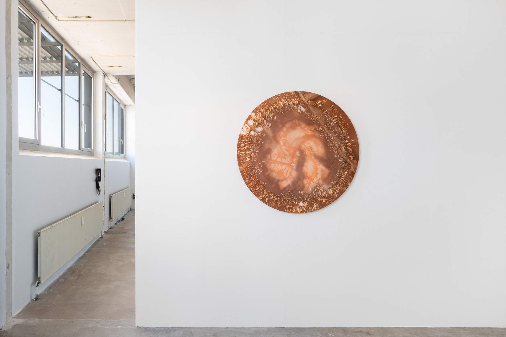 Fragments of Life, Fragments of the Univers #2