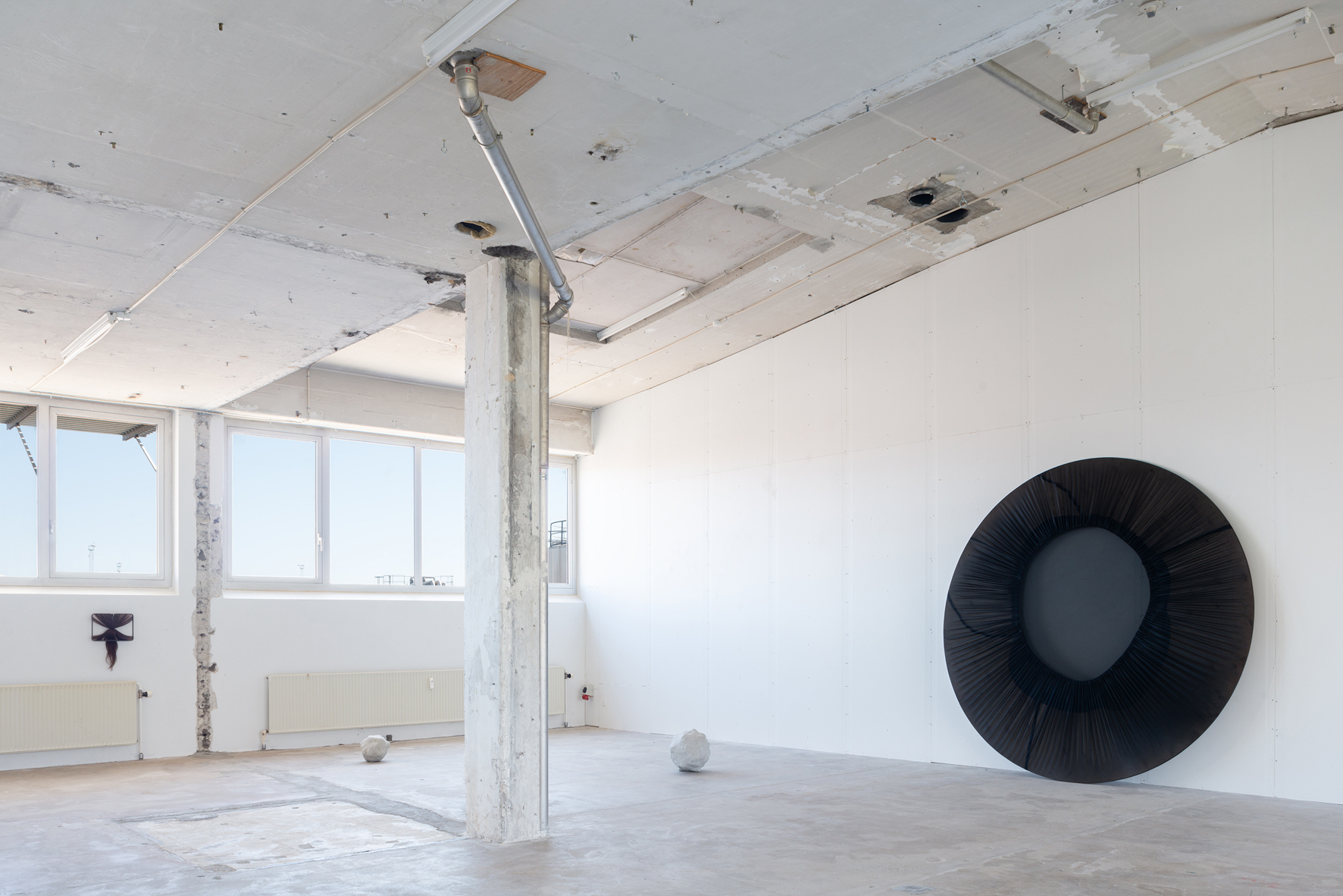 View Whispering Cosmos