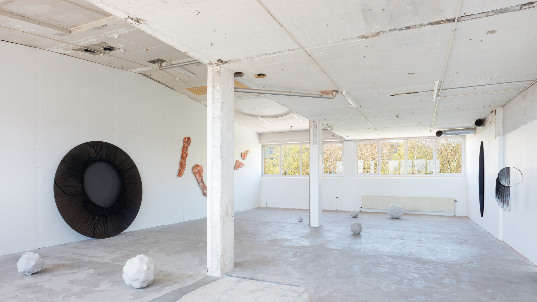 View Whispering Cosmos