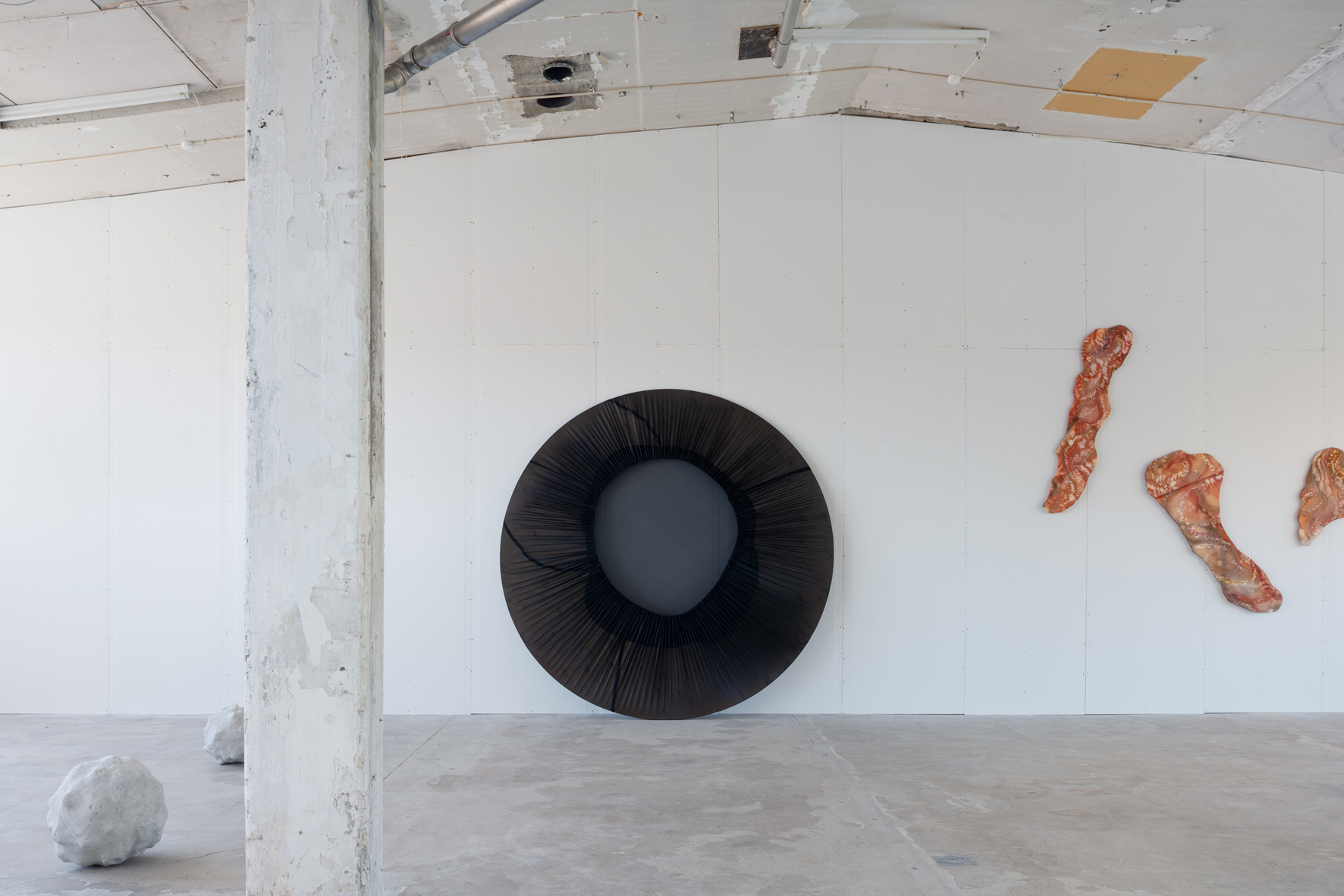 View Whispering Cosmos