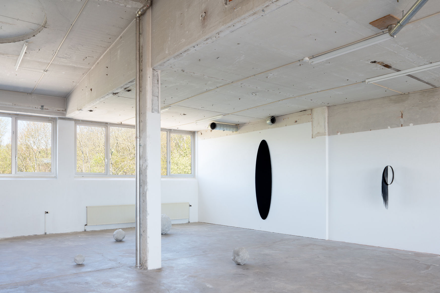 View Whispering Cosmos