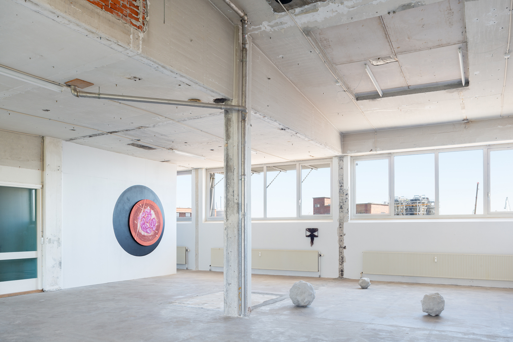 View Whispering Cosmos