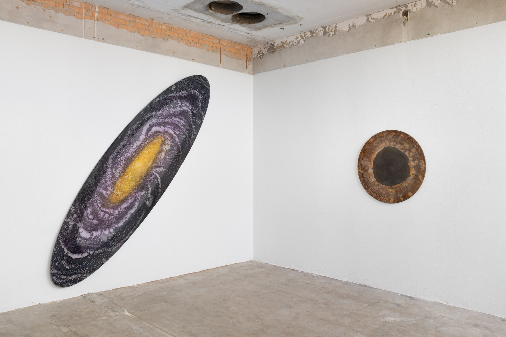 View back room Whispering Cosmos