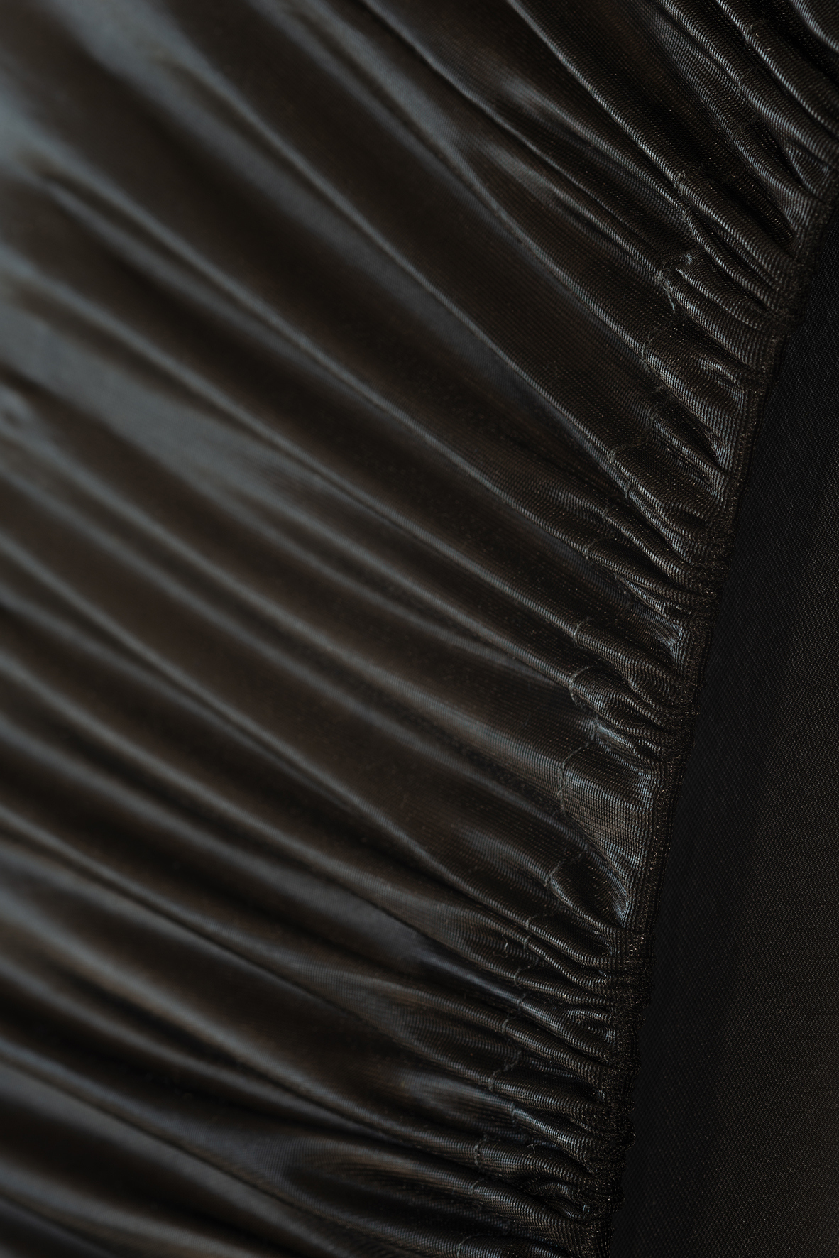 Whispering Cosmos close up