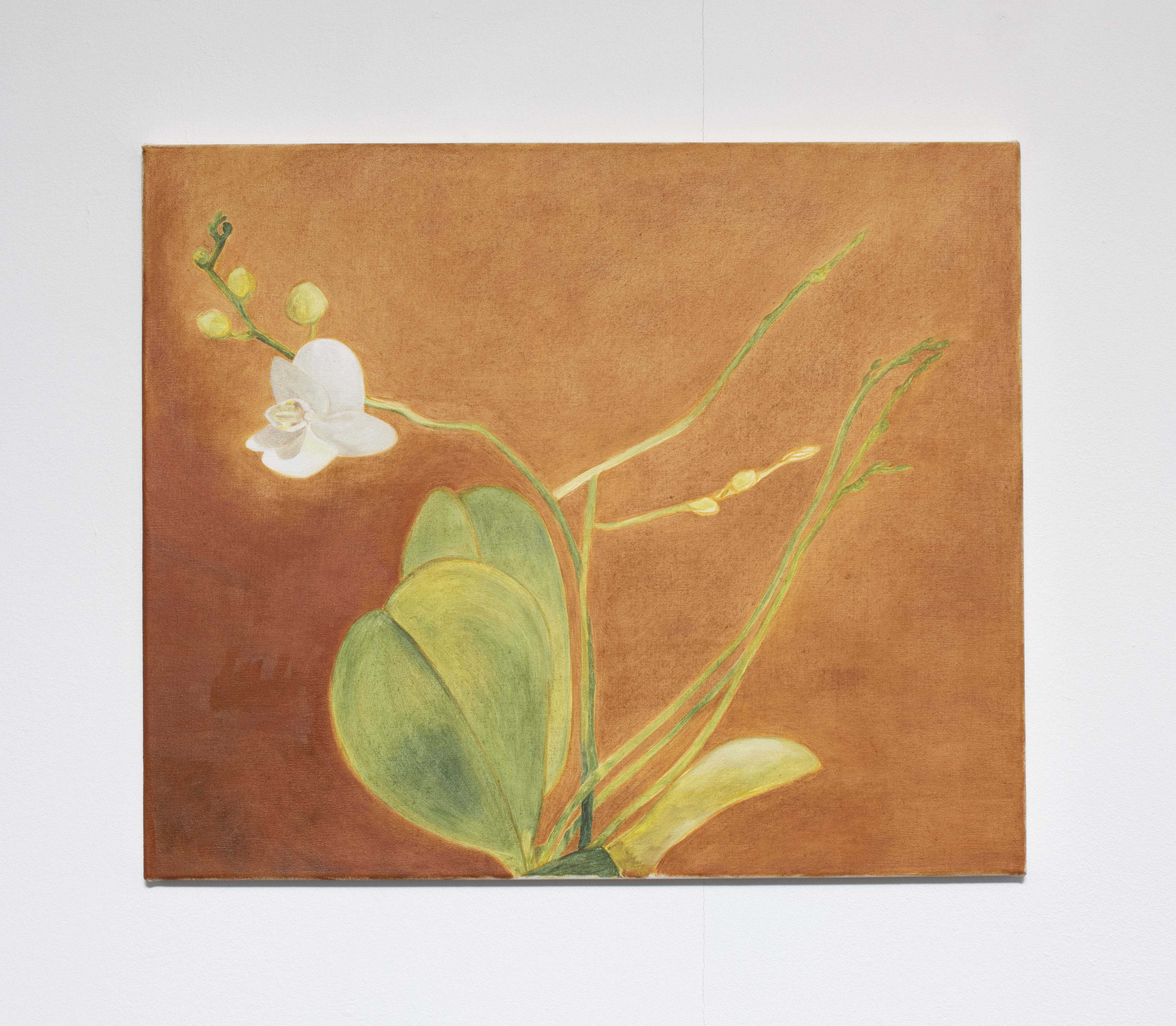 Melanie Akeret, Dekorationsmalerei (Ocker), 2023, Acrylic and oil on canvas, 50 x 60 cm