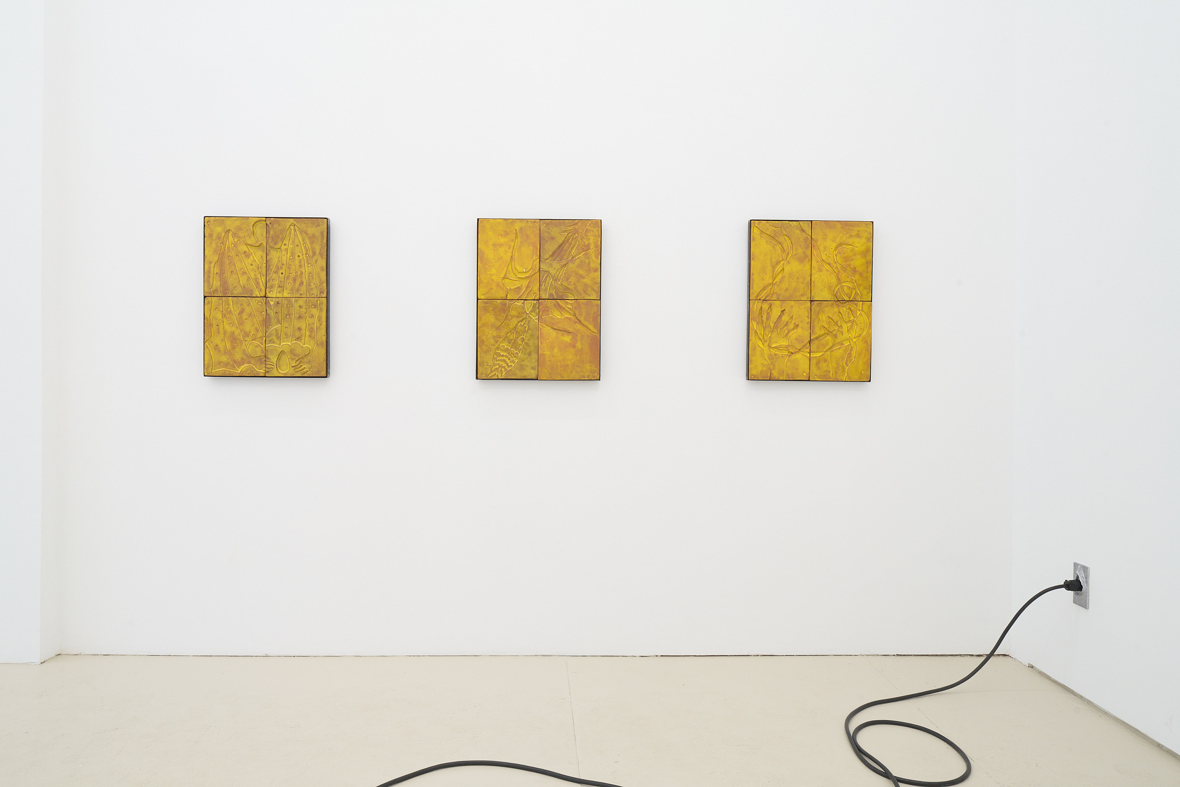 Installation view