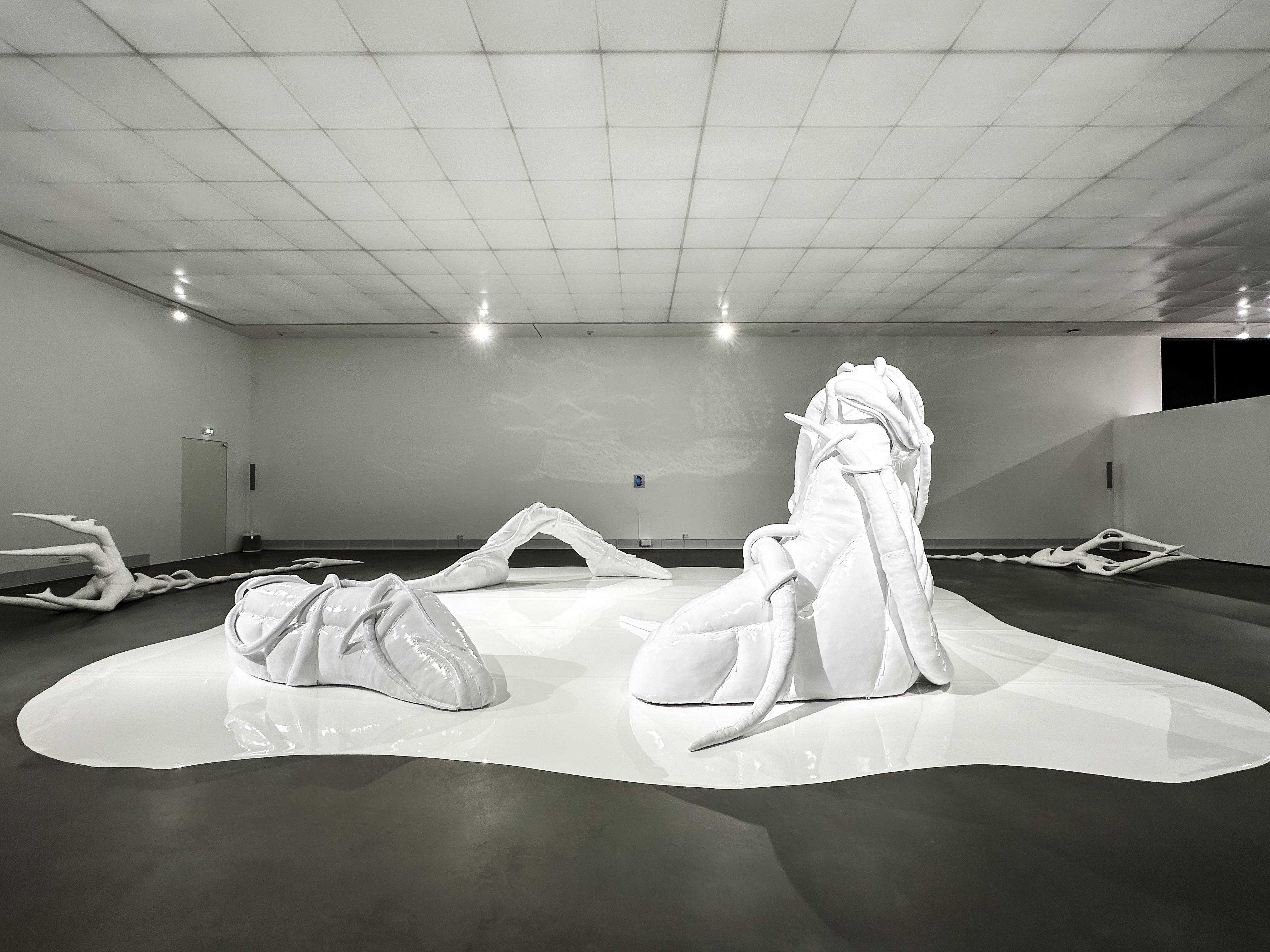 Mary-Audrey Ramirez, Forced Amnesia, installation view, Kunsthalle Gießen, 2023 © Marlene Schlarb