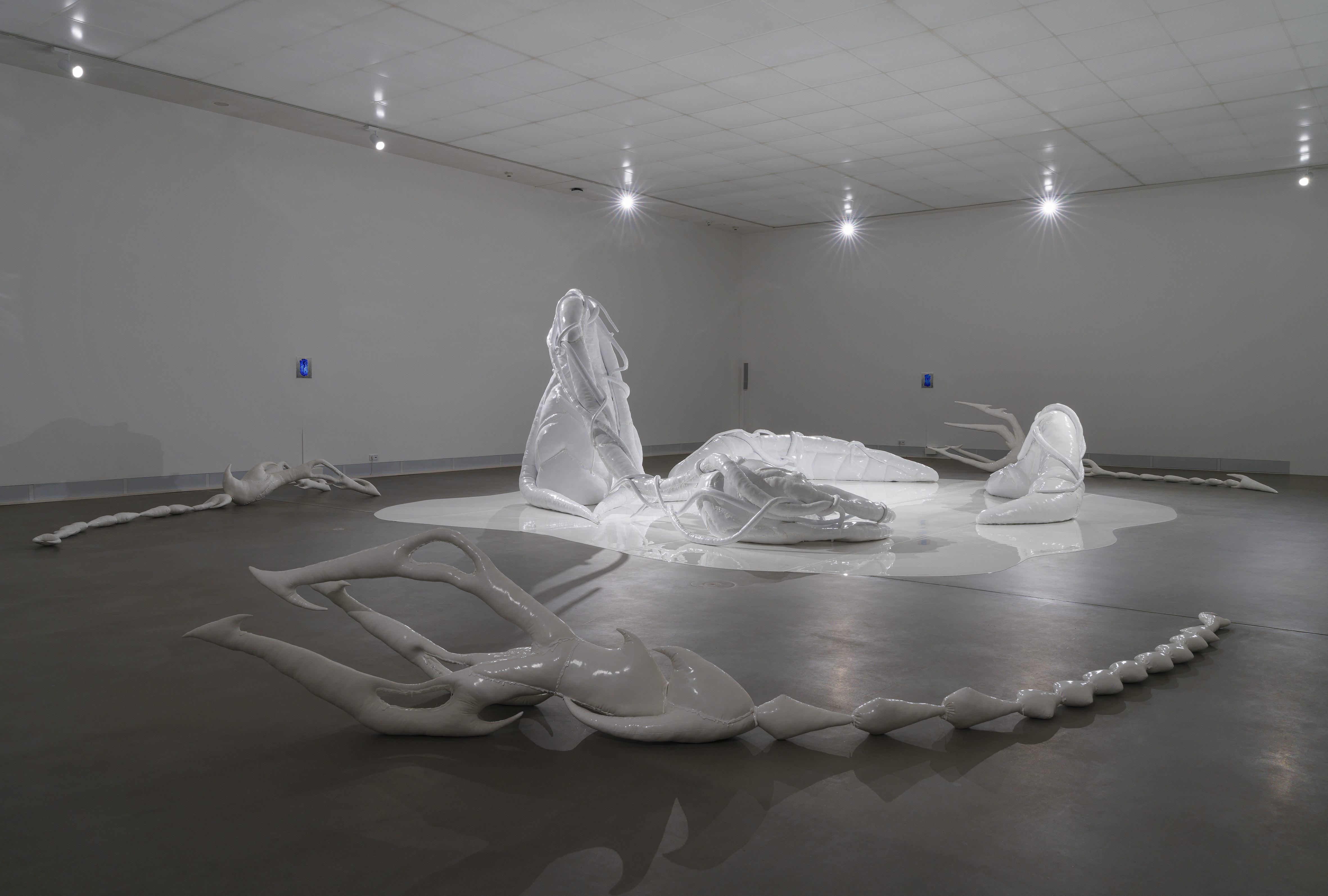 Mary-Audrey Ramirez, Forced Amnesia, installation view, Kunsthalle Gießen, 2023 © Günzel Rademacher