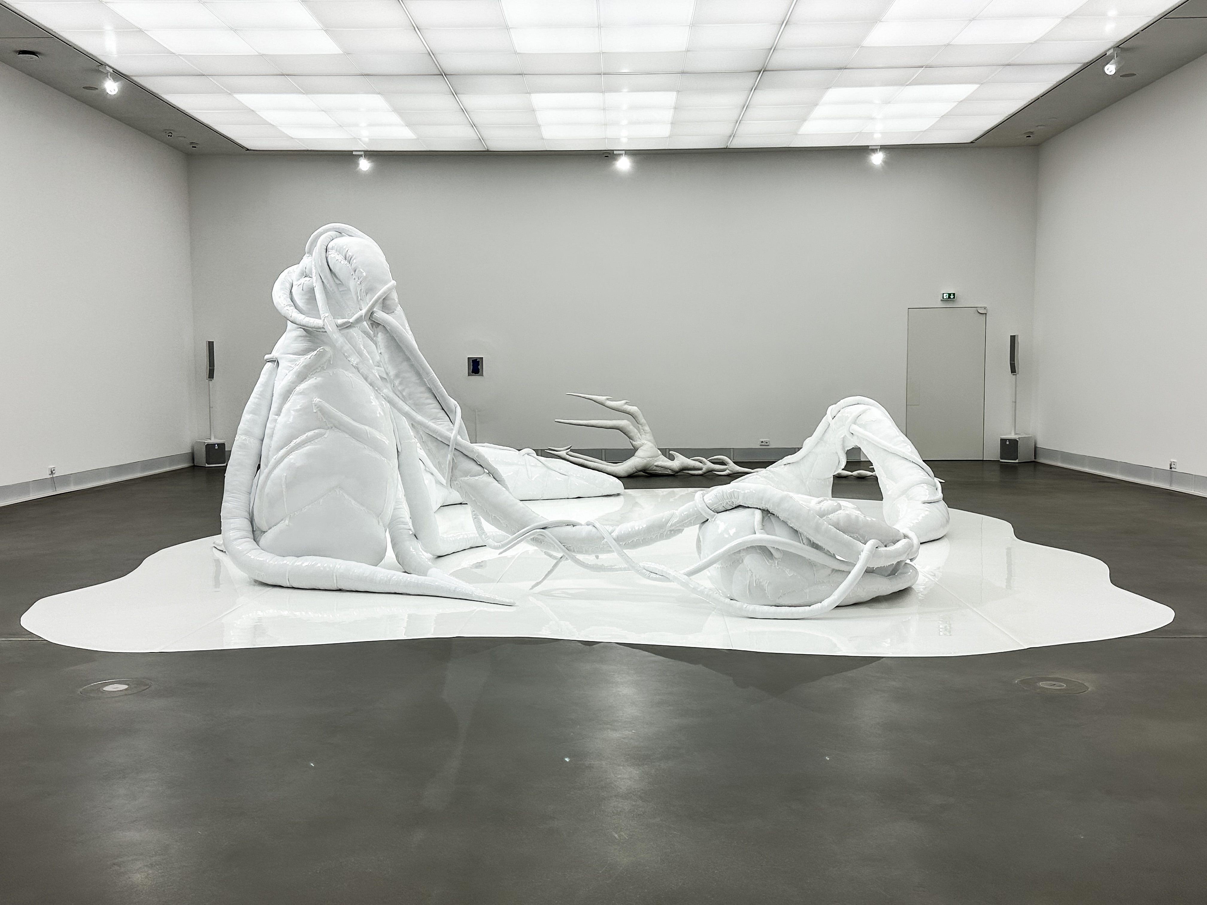 Mary-Audrey Ramirez, Forced Amnesia, installation view, Kunsthalle Gießen, 2023 © Marlene Schlarb