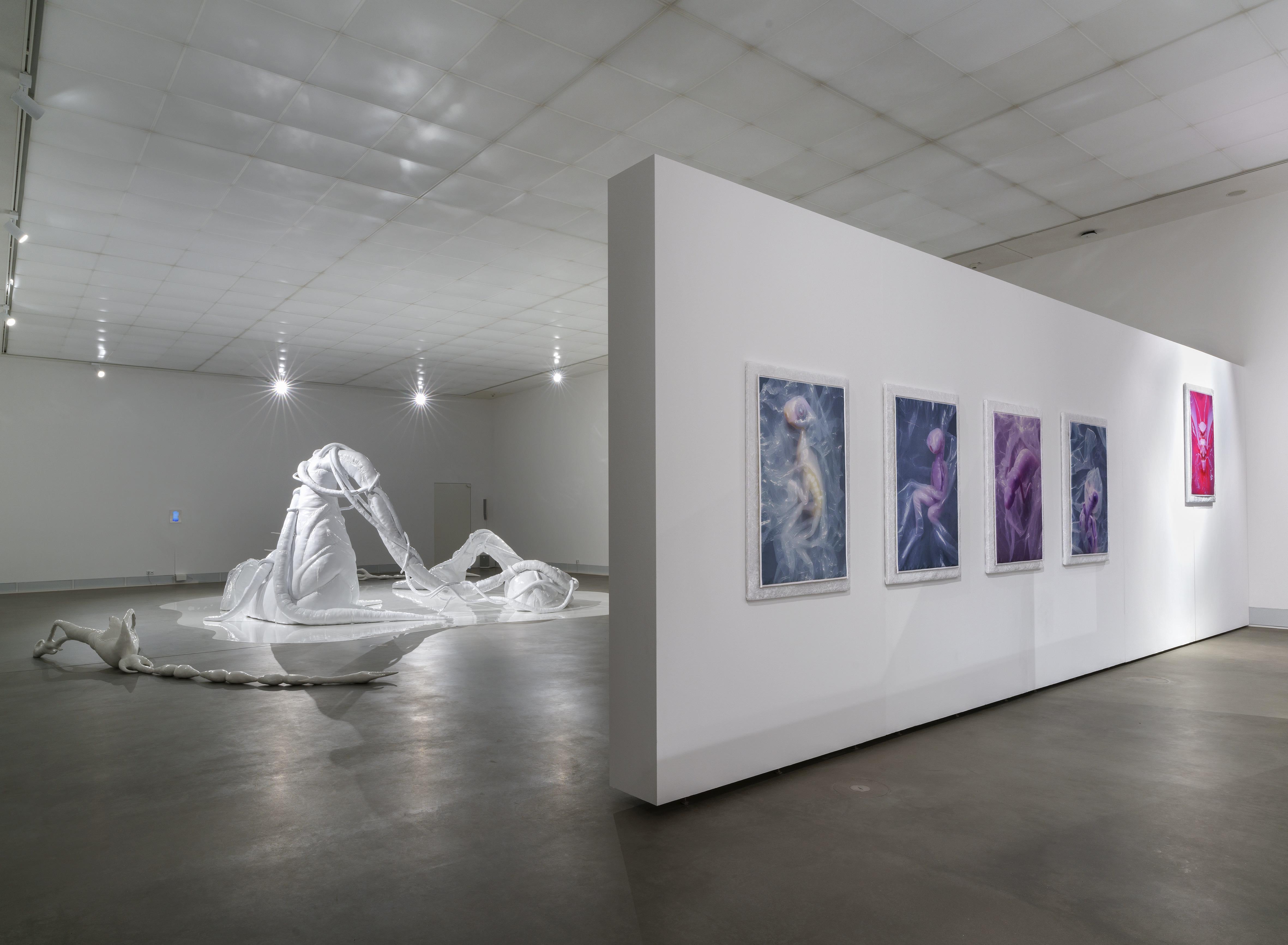 Mary-Audrey Ramirez, Forced Amnesia, installation view, Kunsthalle Gießen, 2023 © Günzel Rademacher