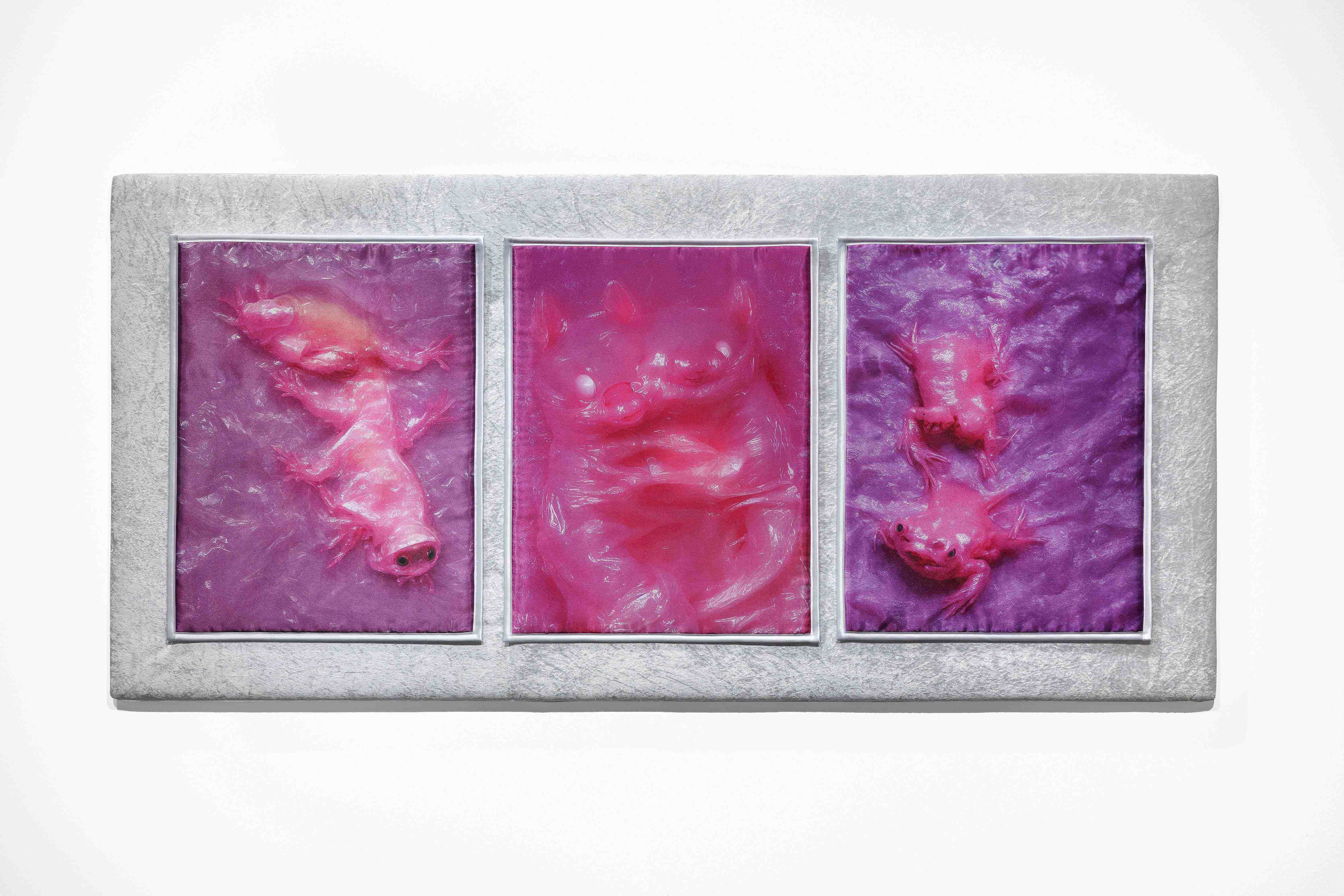 Mary-Audrey Ramirez, Forced Amnesia, installation view (Triptyh, Middle: The Lovers (in love), Left and right: The Haters (in goo), satin print on crushed velvet, 2022), Kunsthalle Gießen, 2023 © Günzel Rademacher