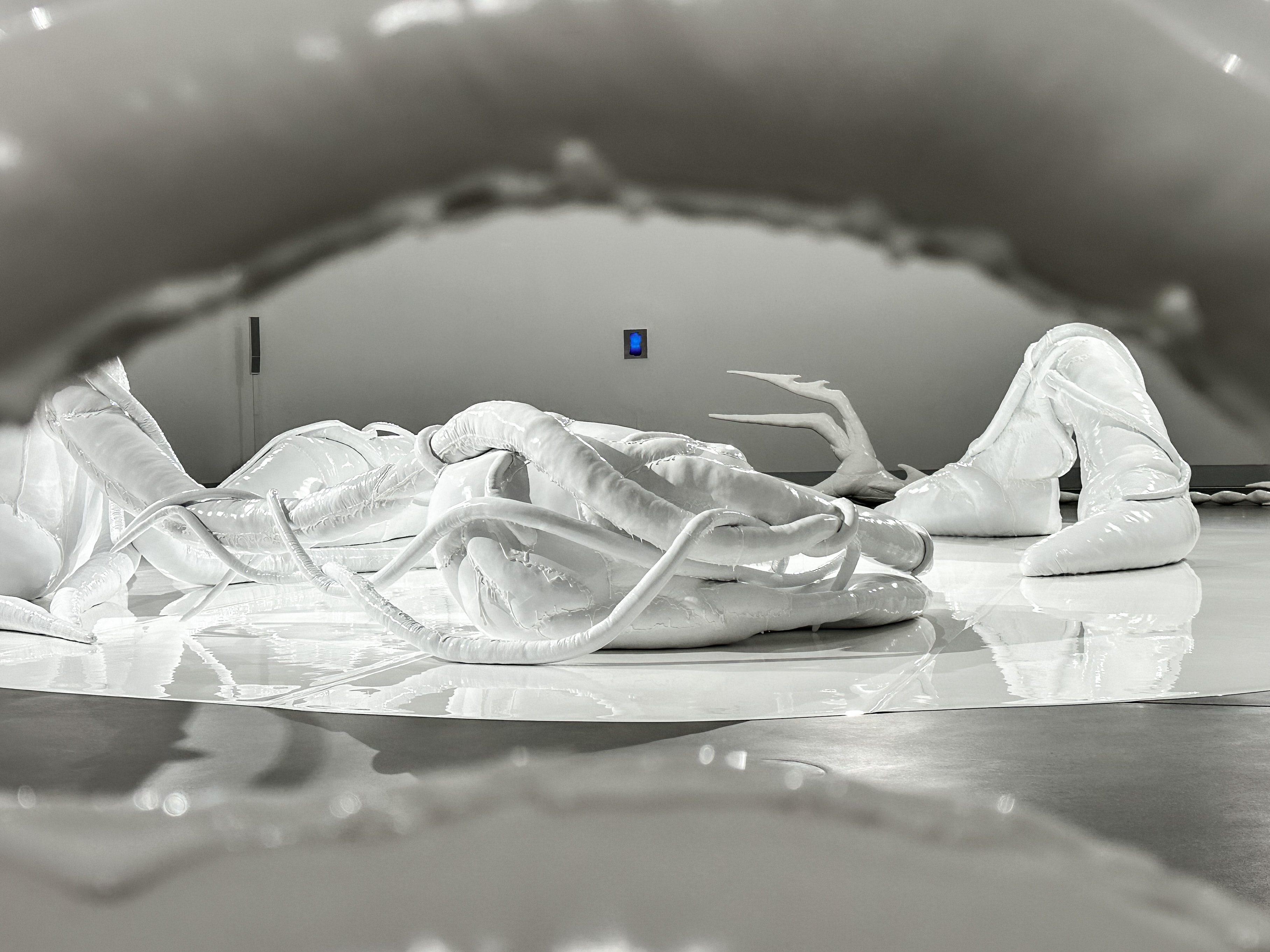 Mary-Audrey Ramirez, Forced Amnesia, installation view, Kunsthalle Gießen, 2023 © Marlene Schlarb