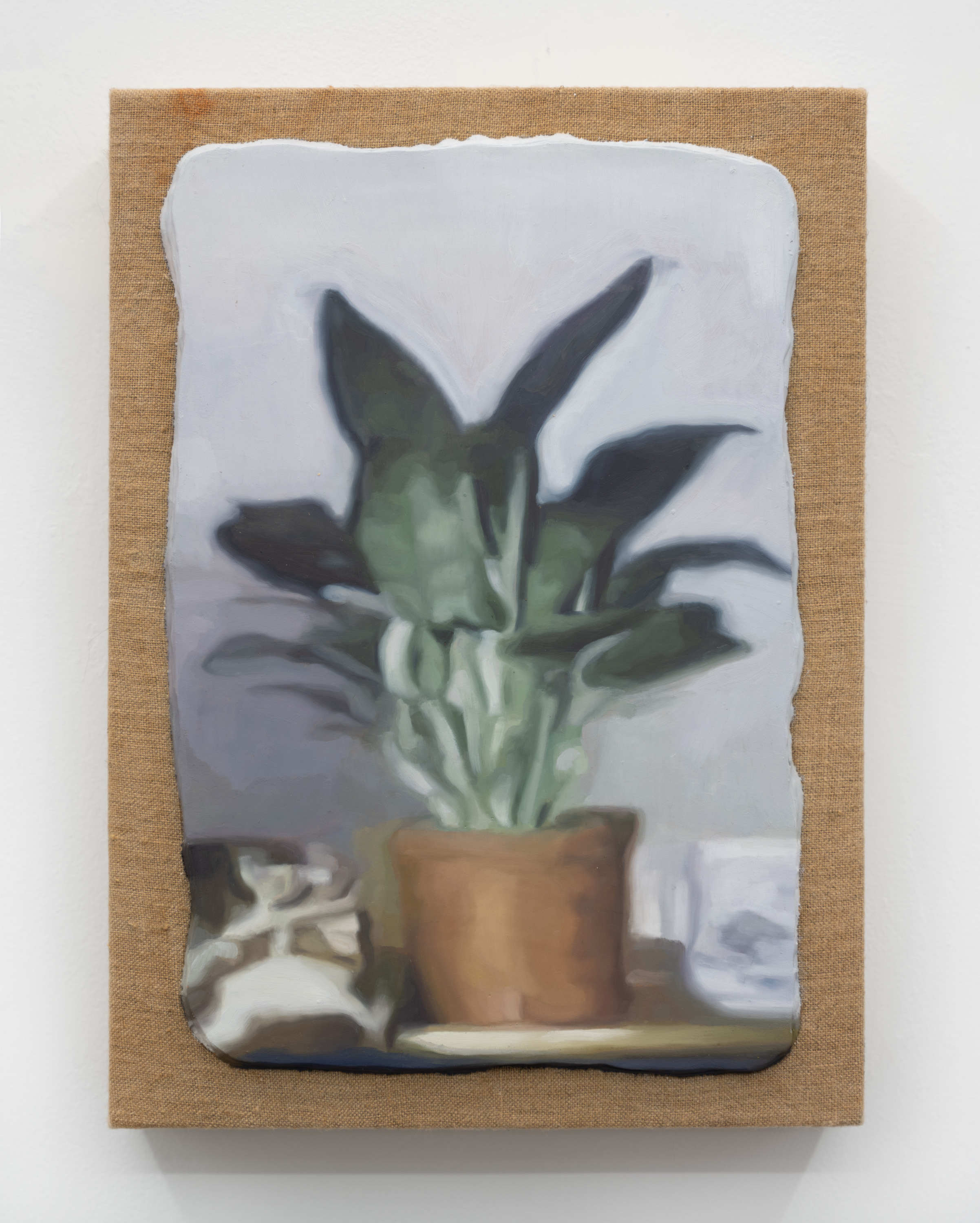 Metope: Plant, 2023 Oil on linen stretched panel 12.25 x 9 inches