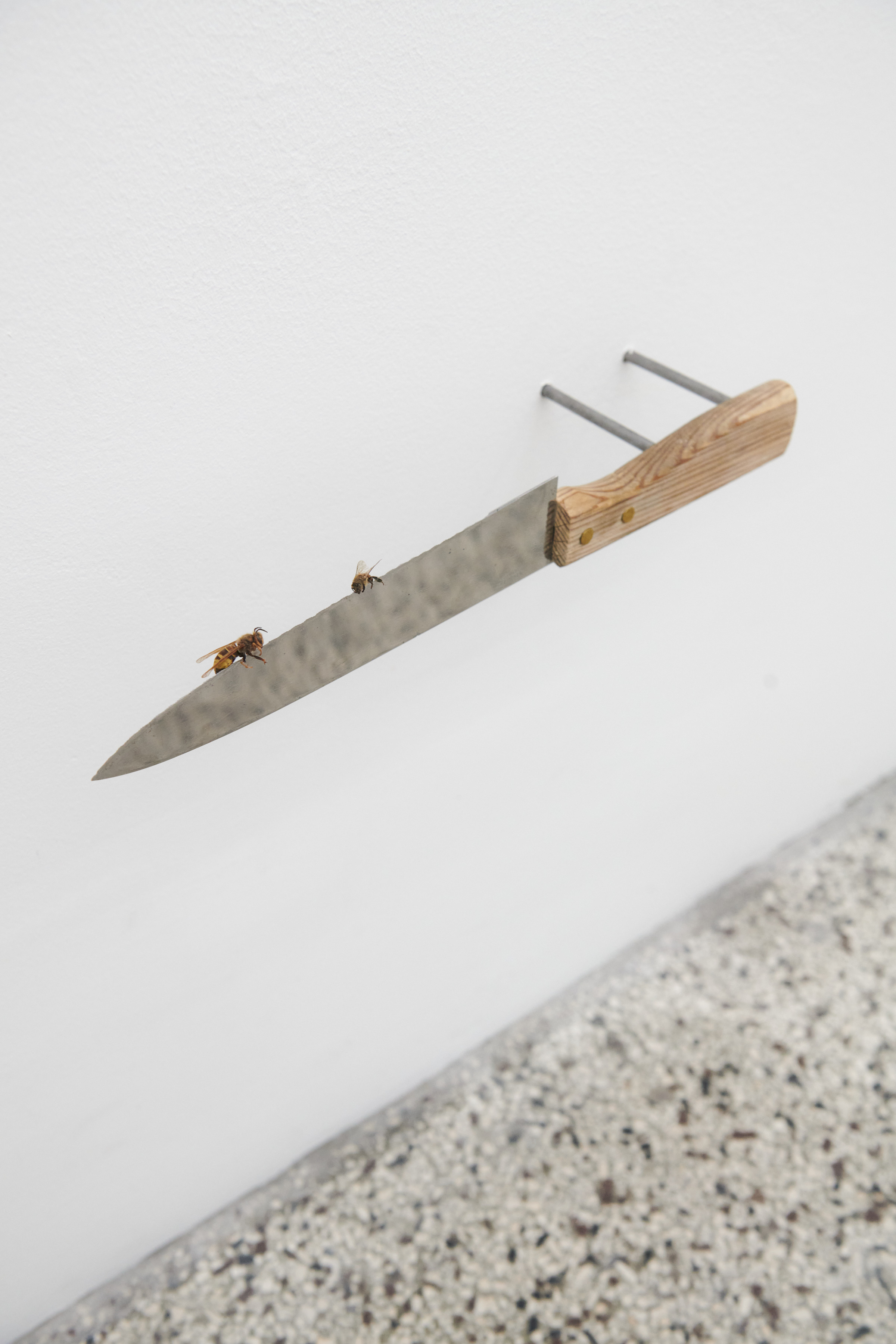 Wasp and bee on knife, 2022, Vincent Sheers