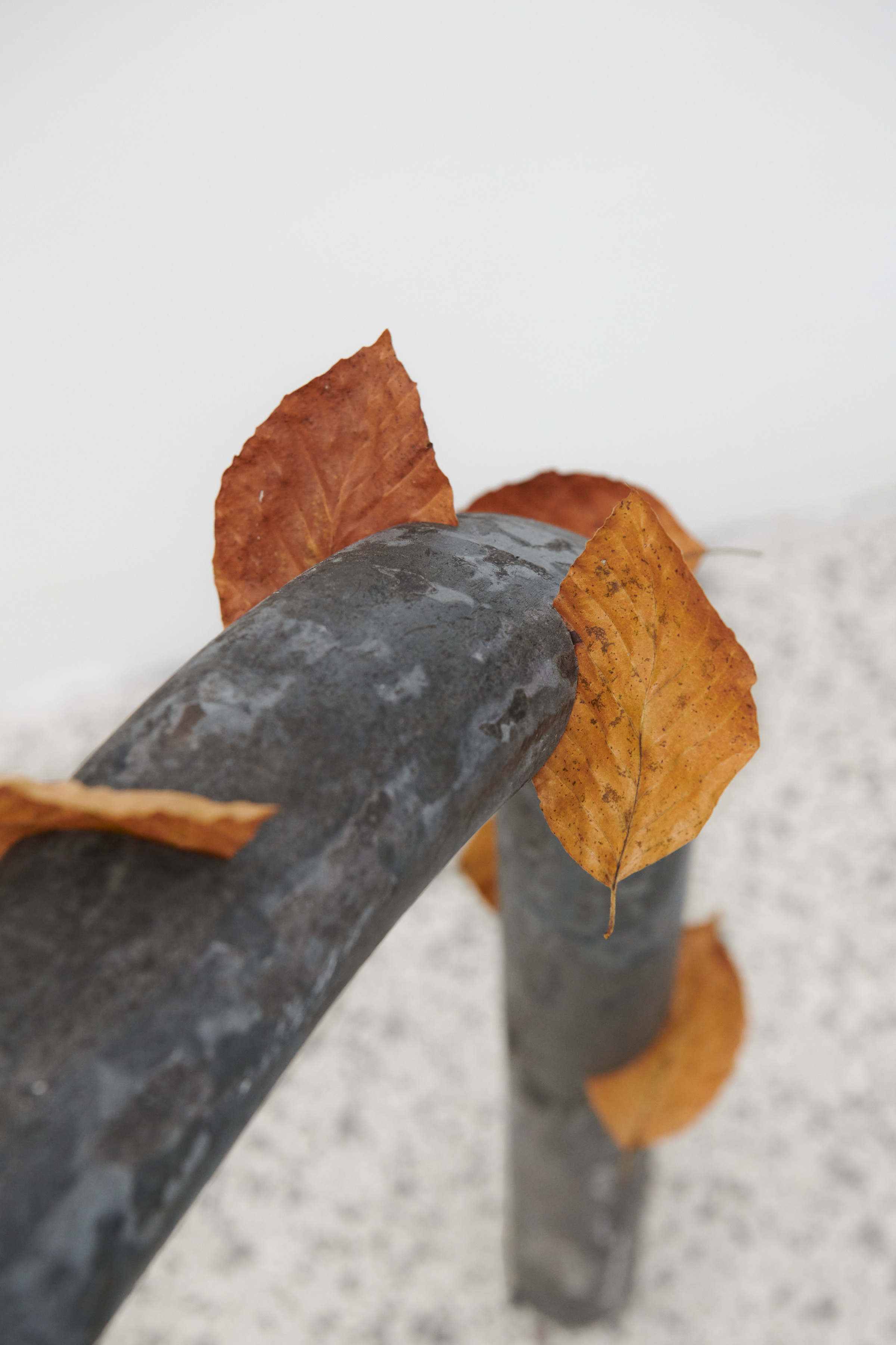 Untitled detail, 2023, Vincent Sheers