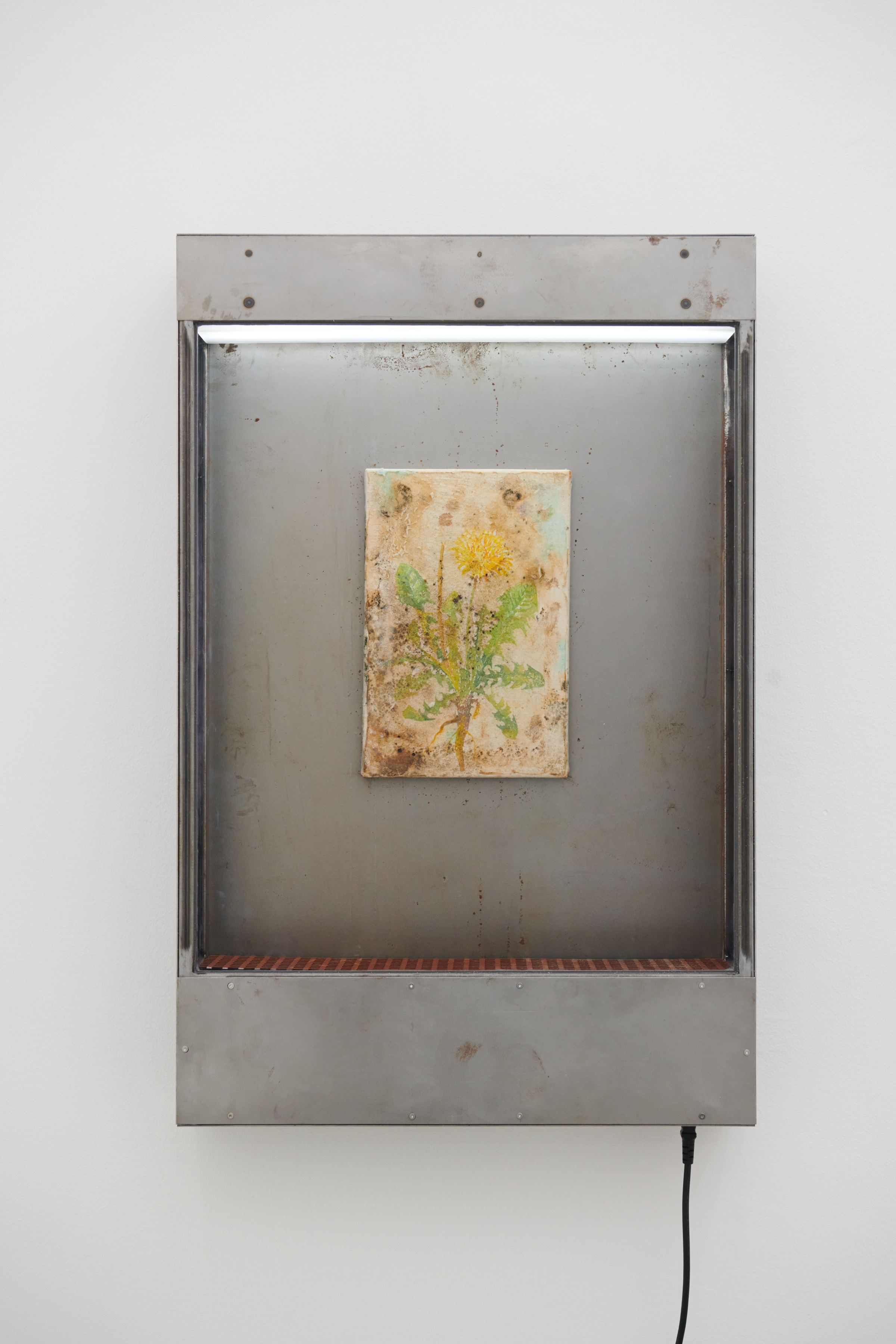 Incubator Study III, 2023, Vincent Sheers