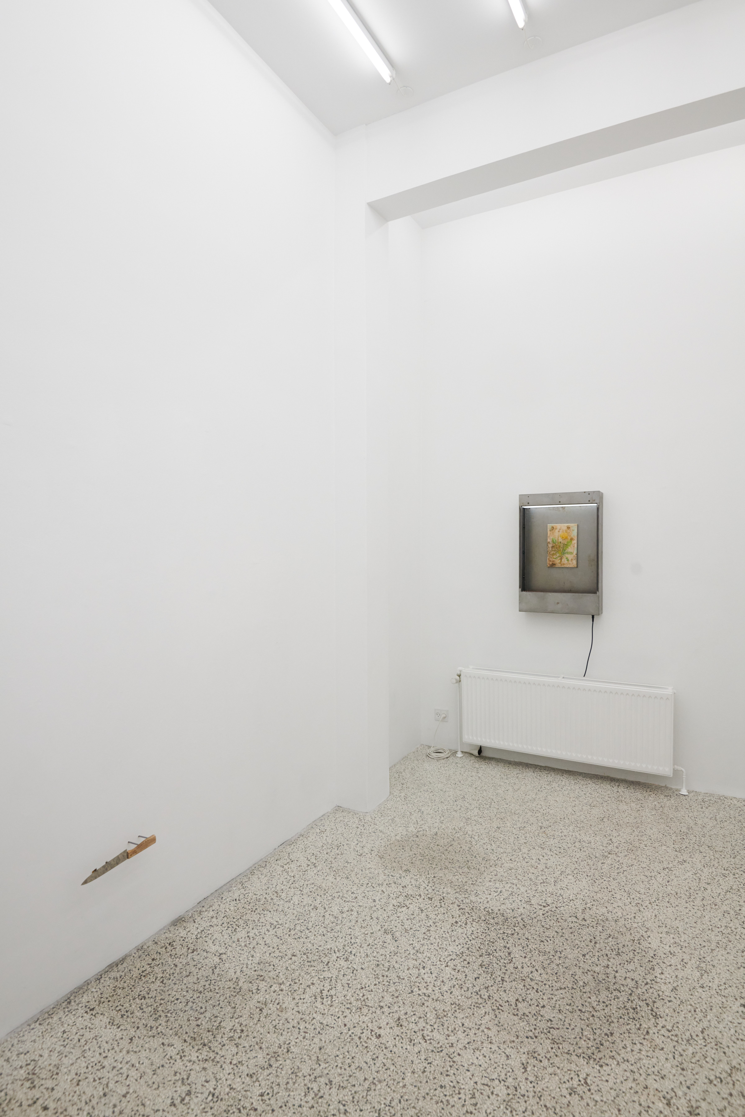 The History of the Criminal installation shot