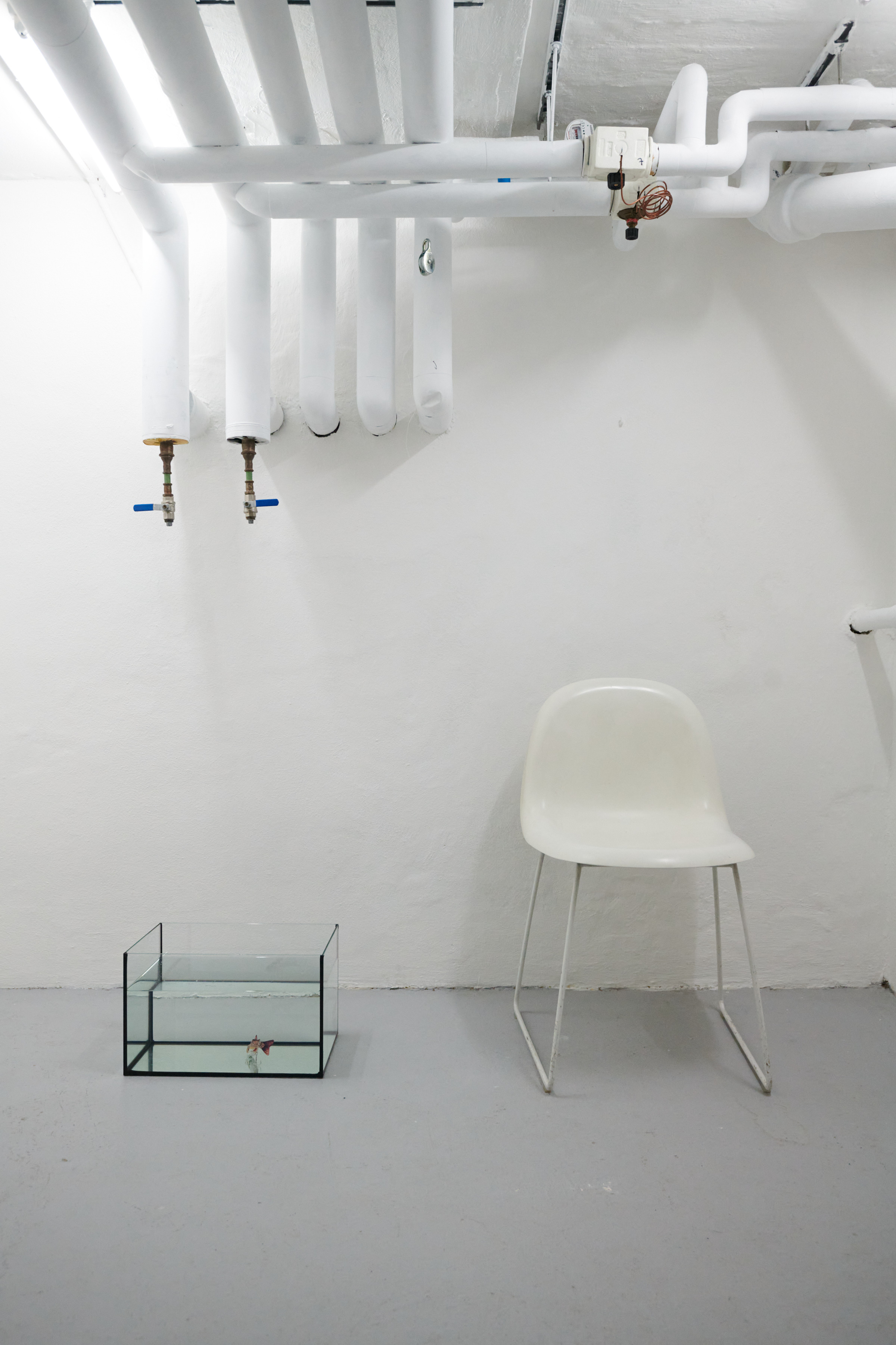 The History of the Criminal Installation shot 3