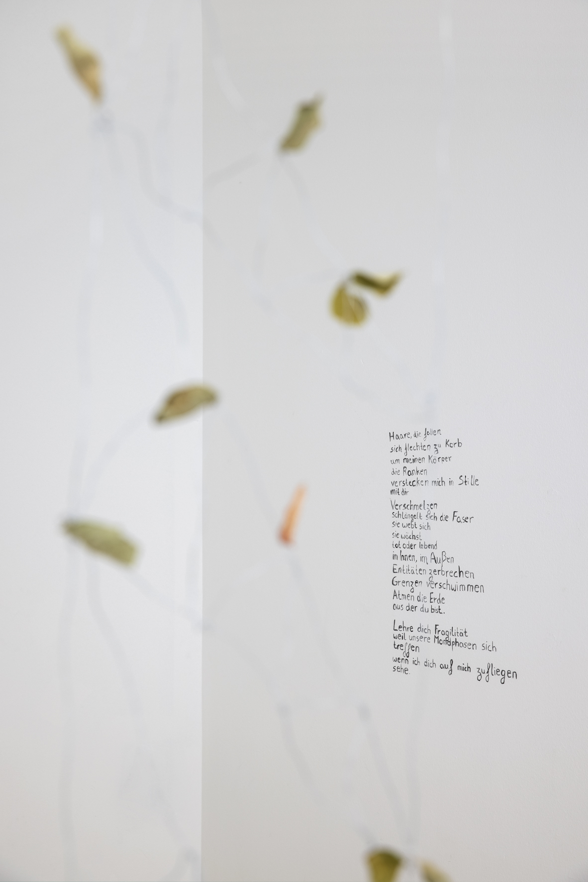 Ausstellungsansicht RADAR: Sophie Rebentisch, Ciao Eden, WestfĂ€lischer Kunstverein und LWL-Museum fĂŒr Kunst und Kultur, MĂŒnster, 2023. © Foto: LWL/Hanna Neander