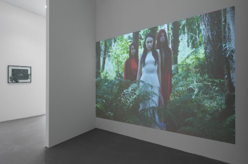 4 Installation view in a forest of red green and blue 2023 Dirk Tacke 5 web