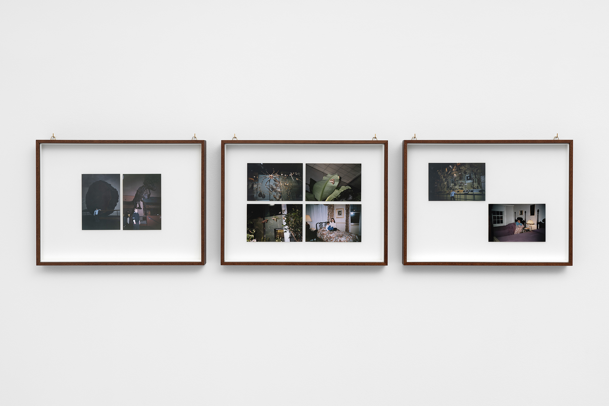 Paolo Bufalini, The Kingdom, 2022. Eight photographs, pins, and entomological cases, three elements 52x39x5cm each. Courtesy of the Artists and La Rada, Locarno. Photography by Tiziano Ercoli & Riccardo Giancola