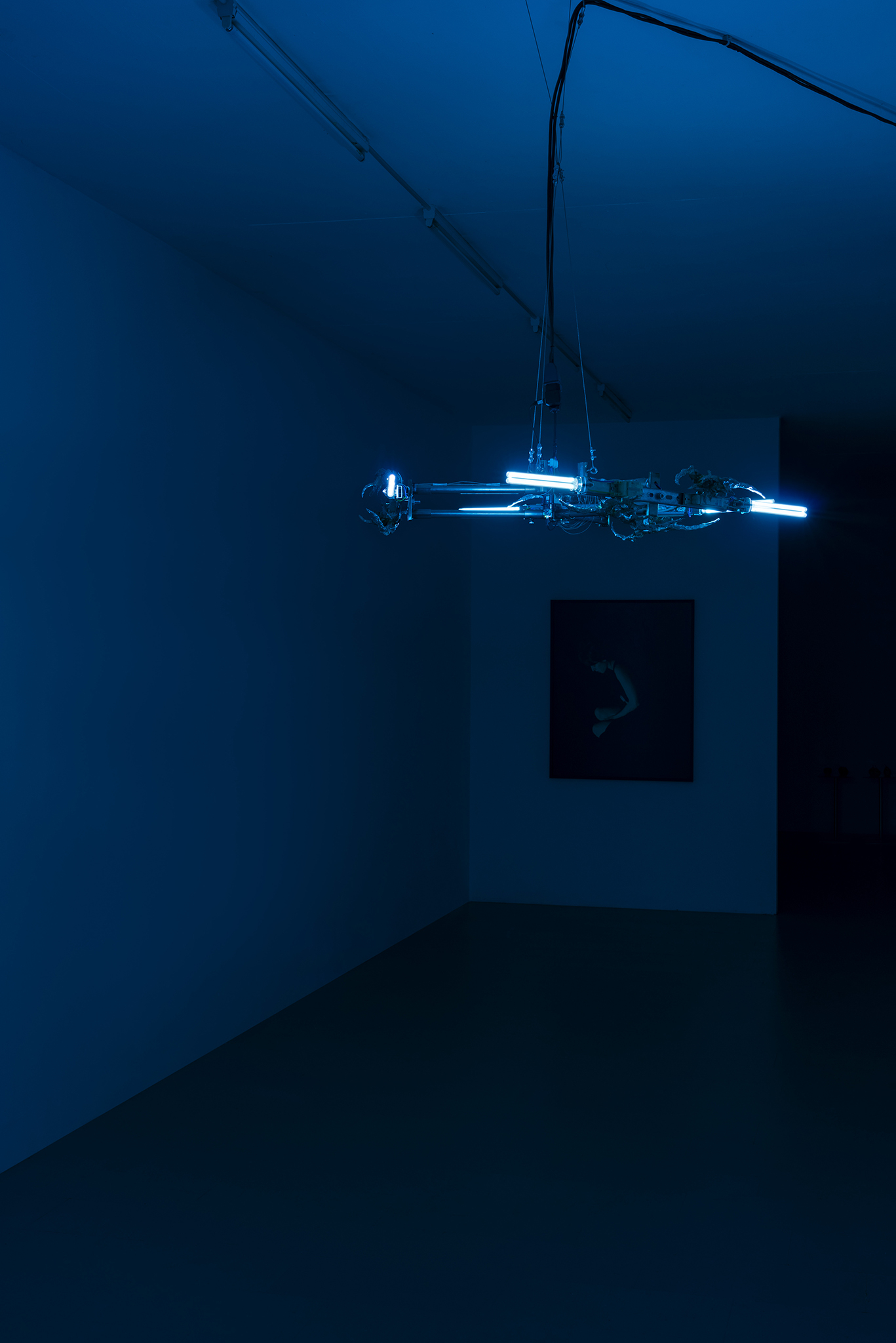 Night vision of Data Mining, at La Rada, Locarno, 2023. Courtesy of the Artists and La Rada, Locarno. Photography by Tiziano Ercoli & Riccardo Giancola