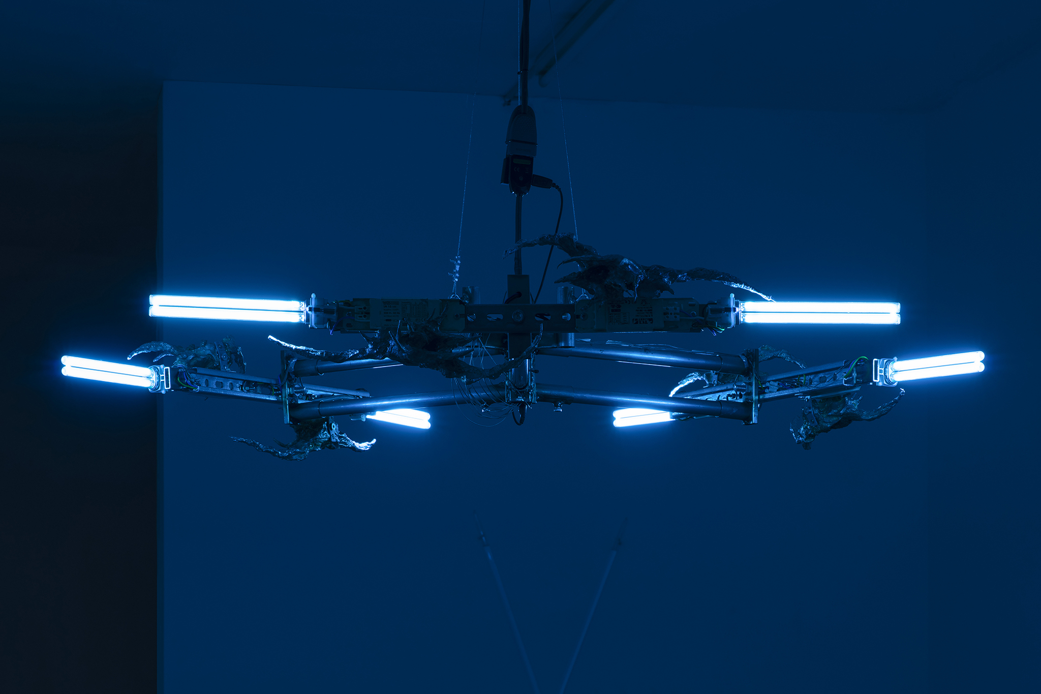 Night vision of Lorenzo Lunghi, Ultraviolette, 2022.  UVC-lamp 11W, Electronic ballast for TUV 11W, Arduino MKR, led diodes, tin, steel, galvanized iron, 60x80x5cm. Courtesy of the Artist and La Rada. Photography by Tiziano Ercoli & Riccardo Giancola