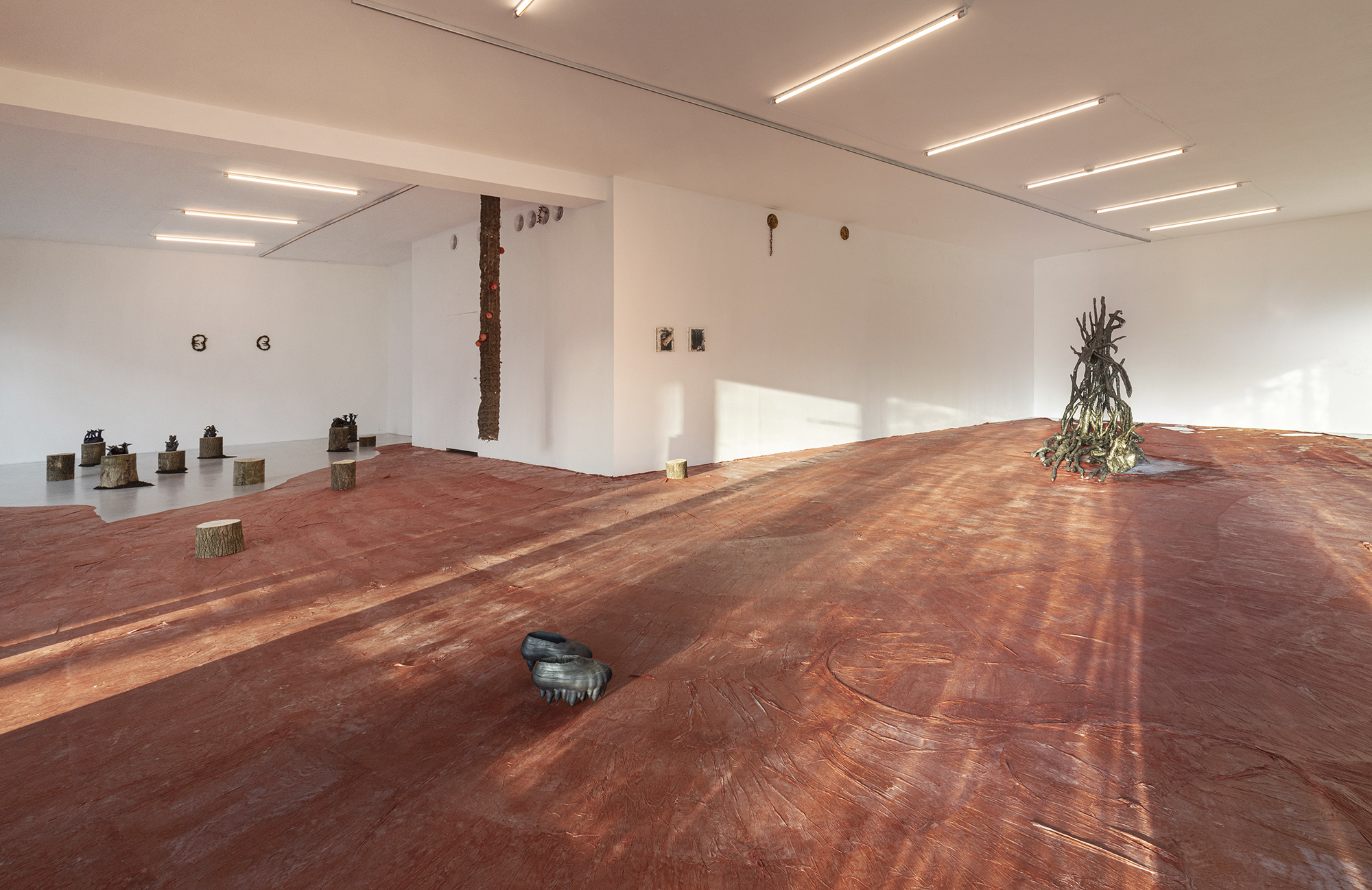 Installation view