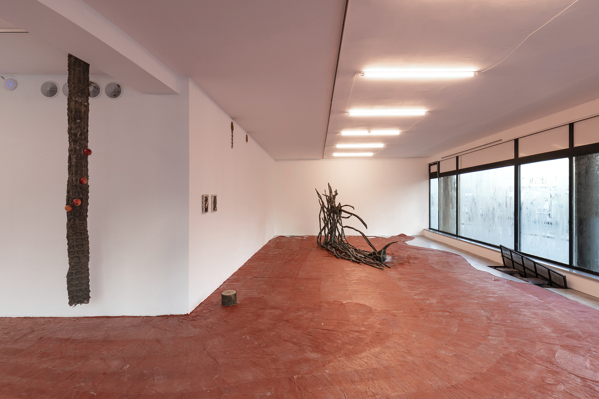 Installation view