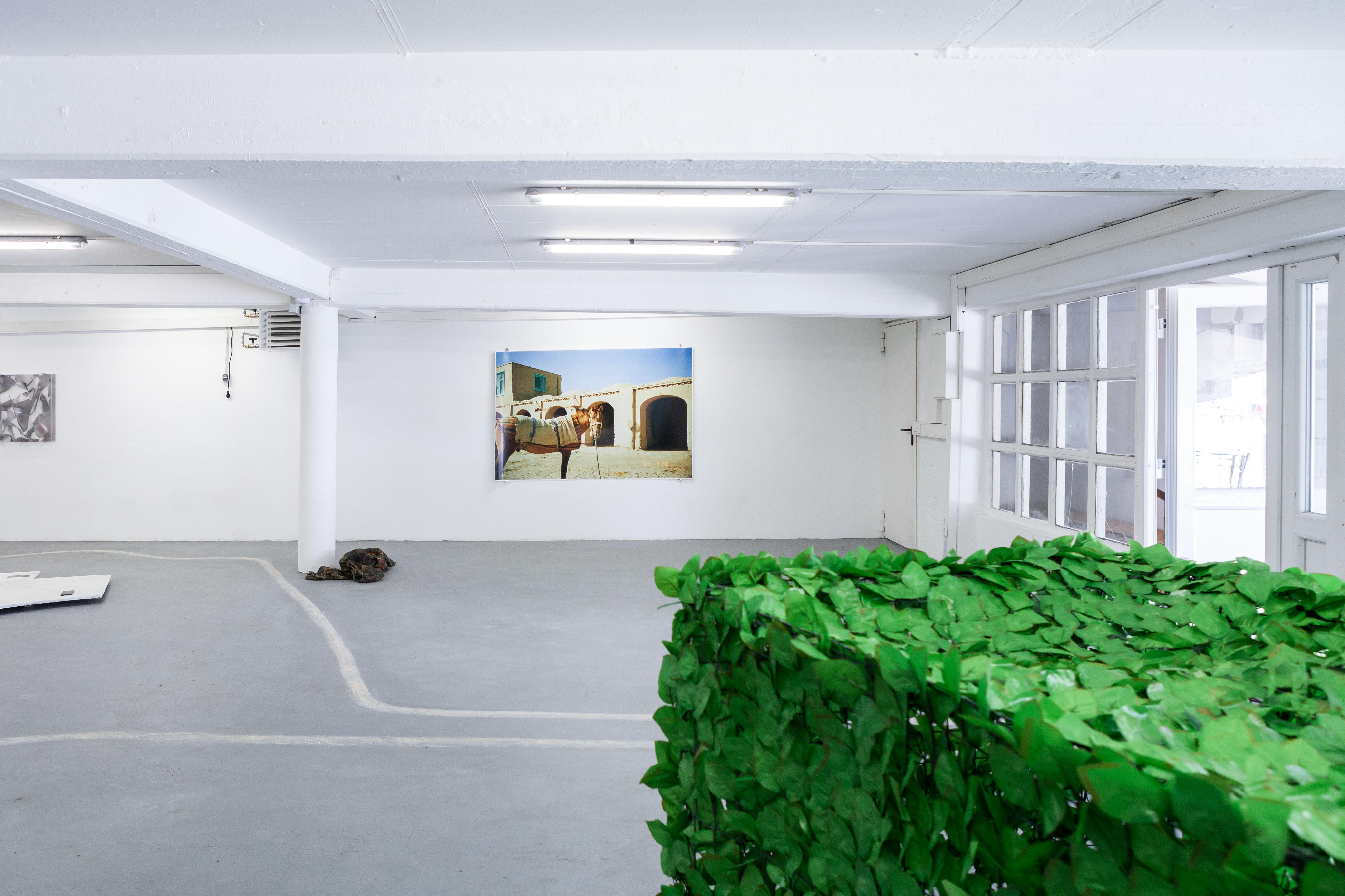 Installation View 2,