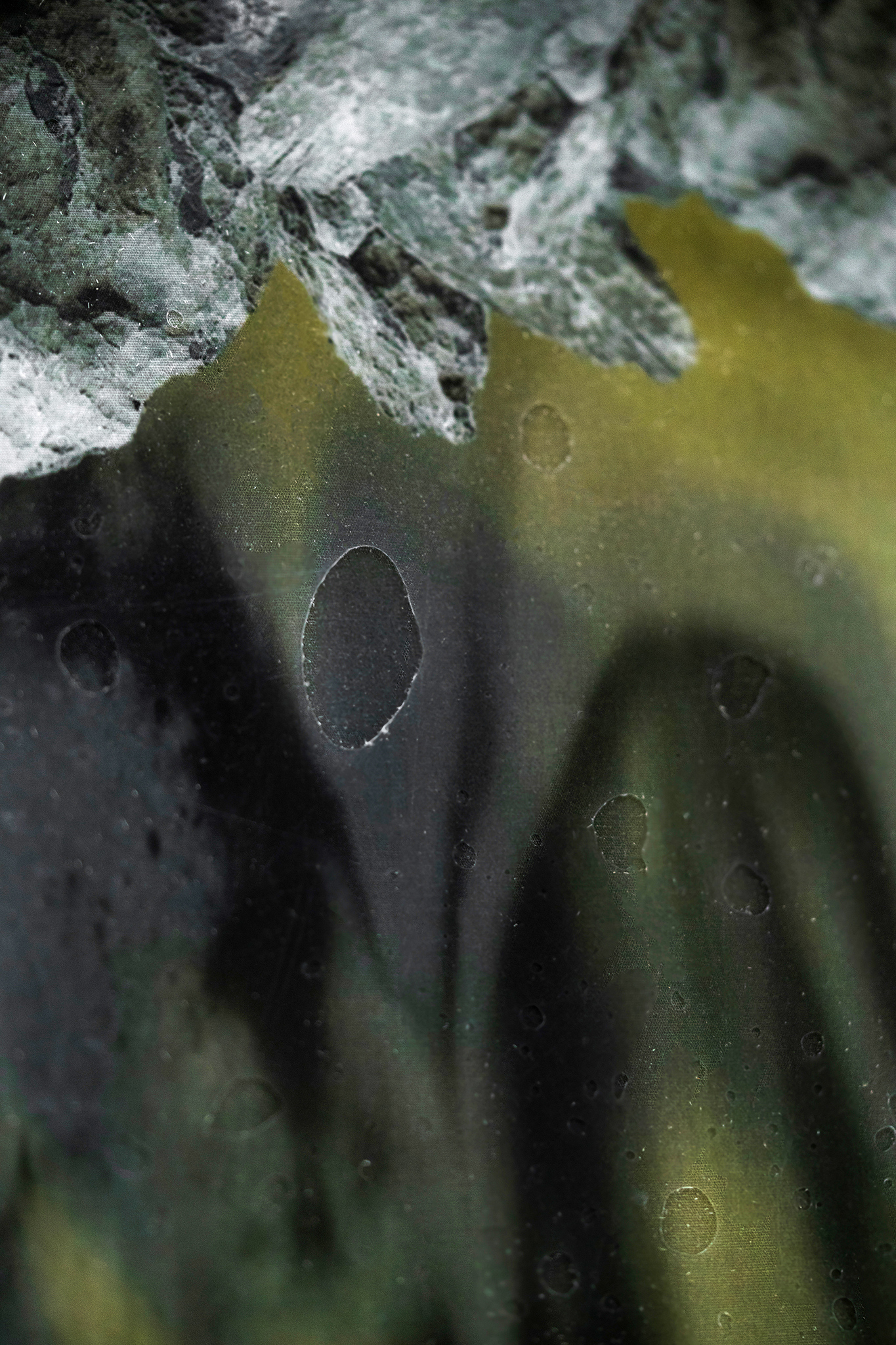 âchanging states (2)â detail, 2023