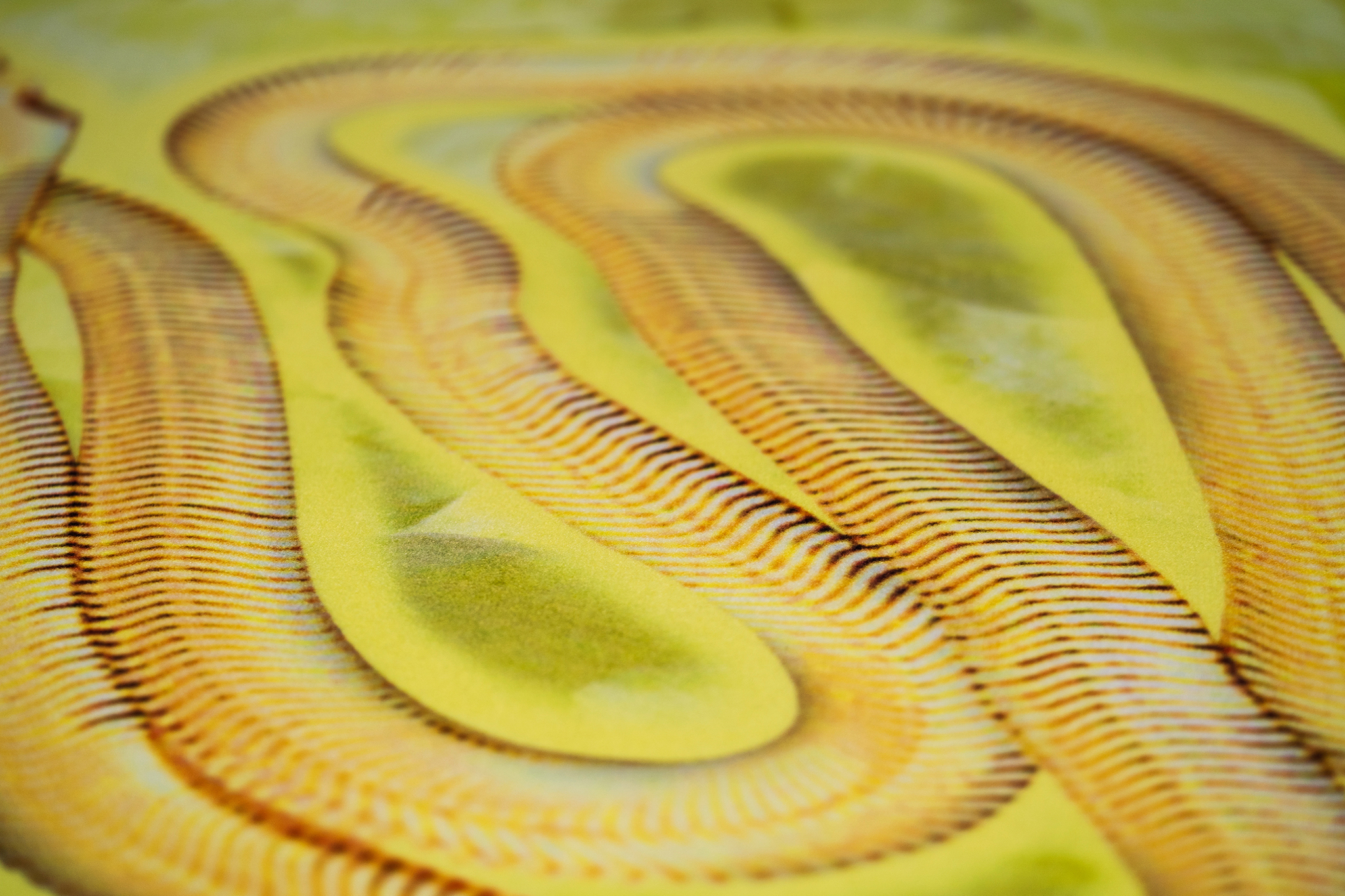 âsnake chainâ detail, 2023