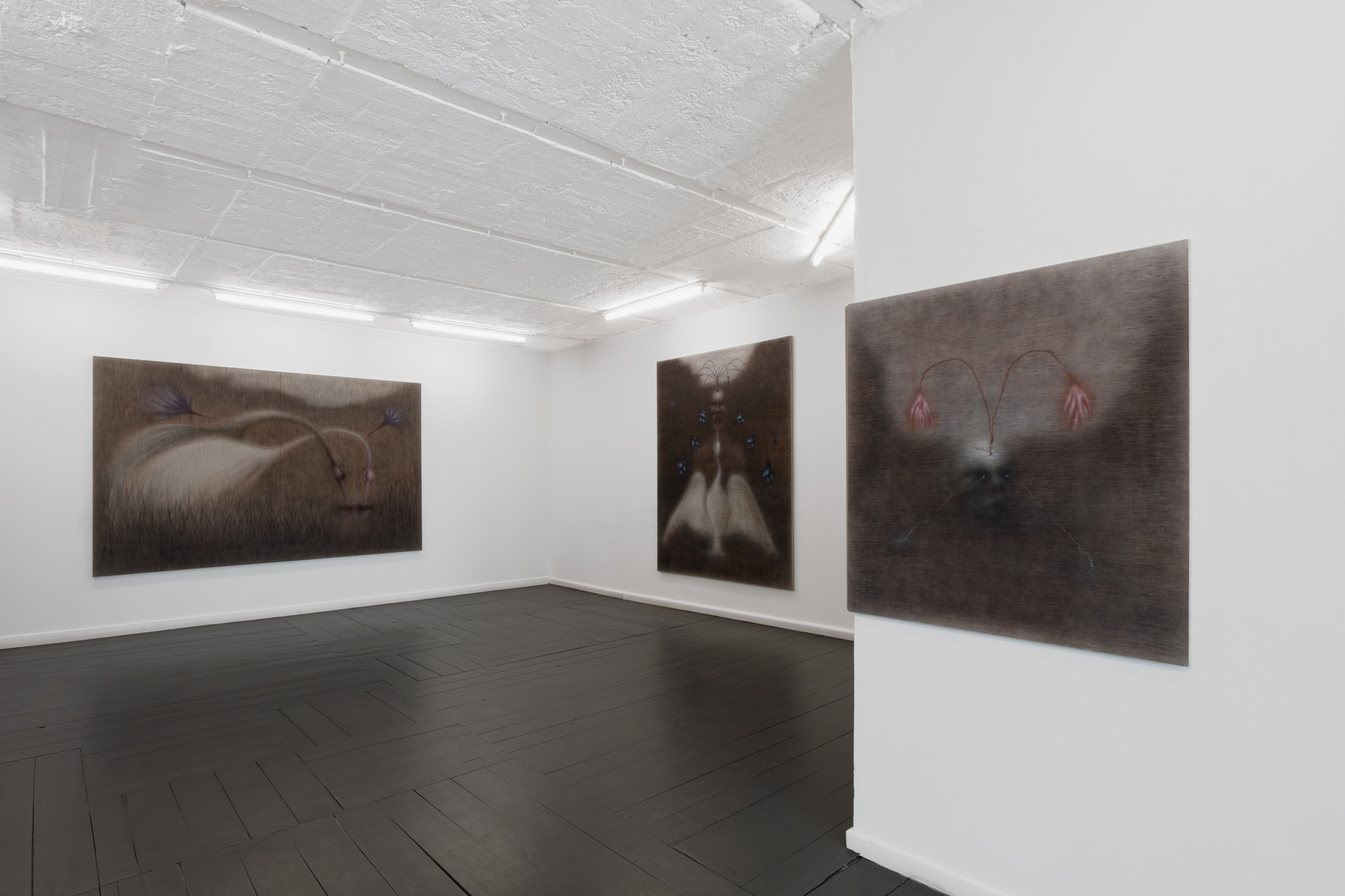 Jędrzej Bieńko, „Human Decomposition”, exhibition view, courtesy of Pola Magnetyczne Gallery, phot. B. Górka