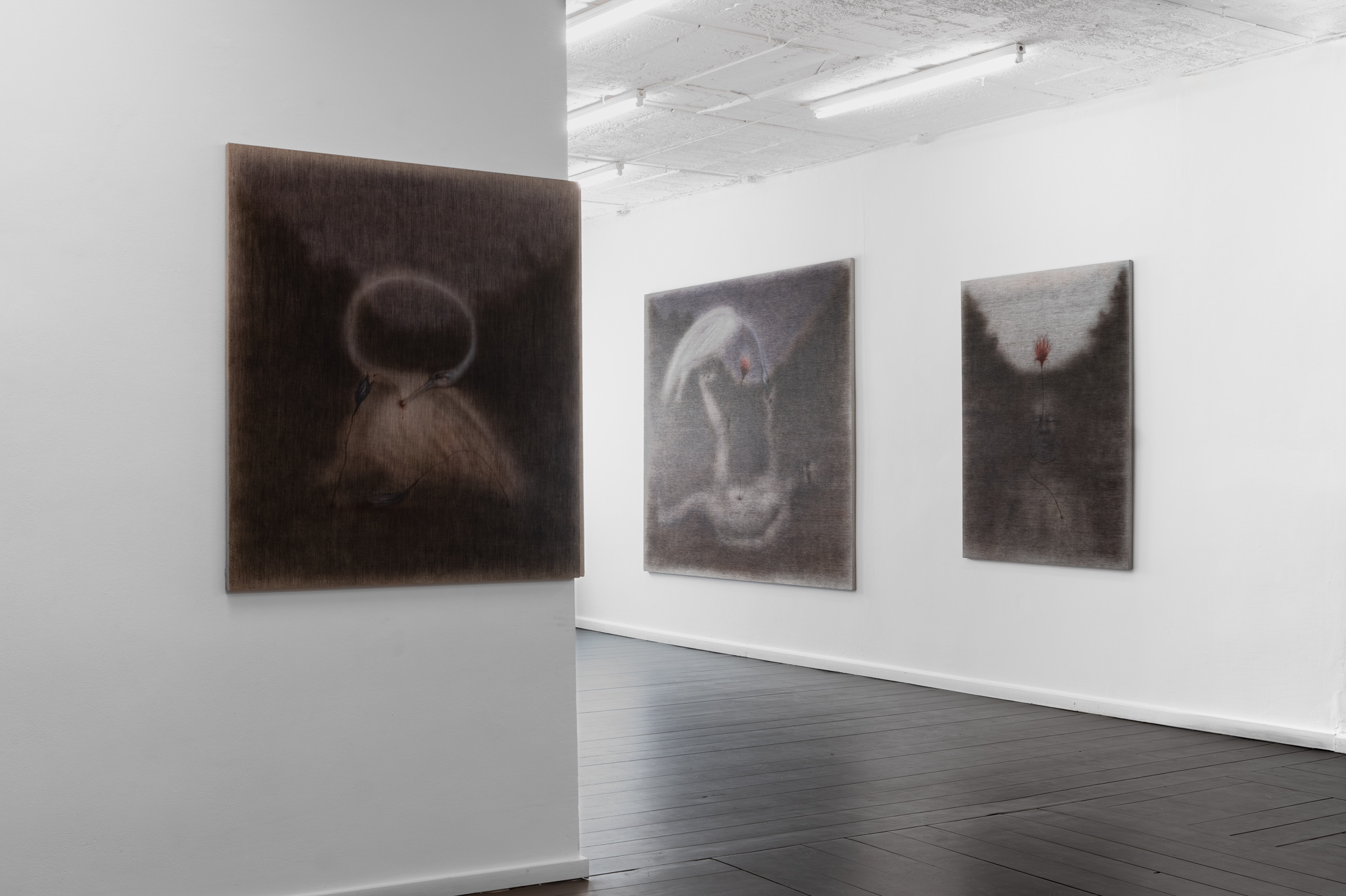 Jędrzej Bieńko, „Human Decomposition”, exhibition view, courtesy of Pola Magnetyczne Gallery, phot. B. Górka