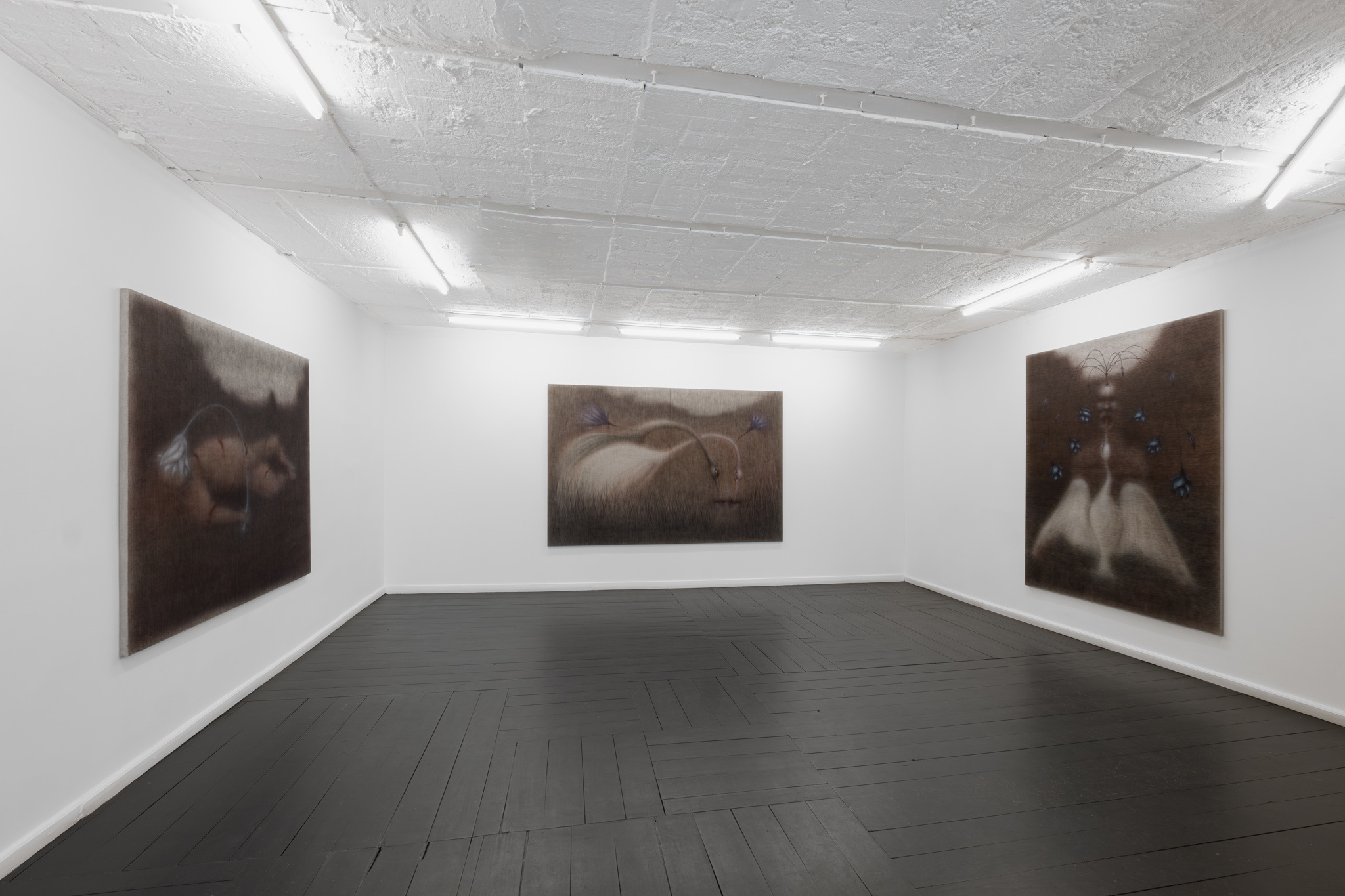 Jędrzej Bieńko, „Human Decomposition”, exhibition view, courtesy of Pola Magnetyczne Gallery, phot. B. Górka