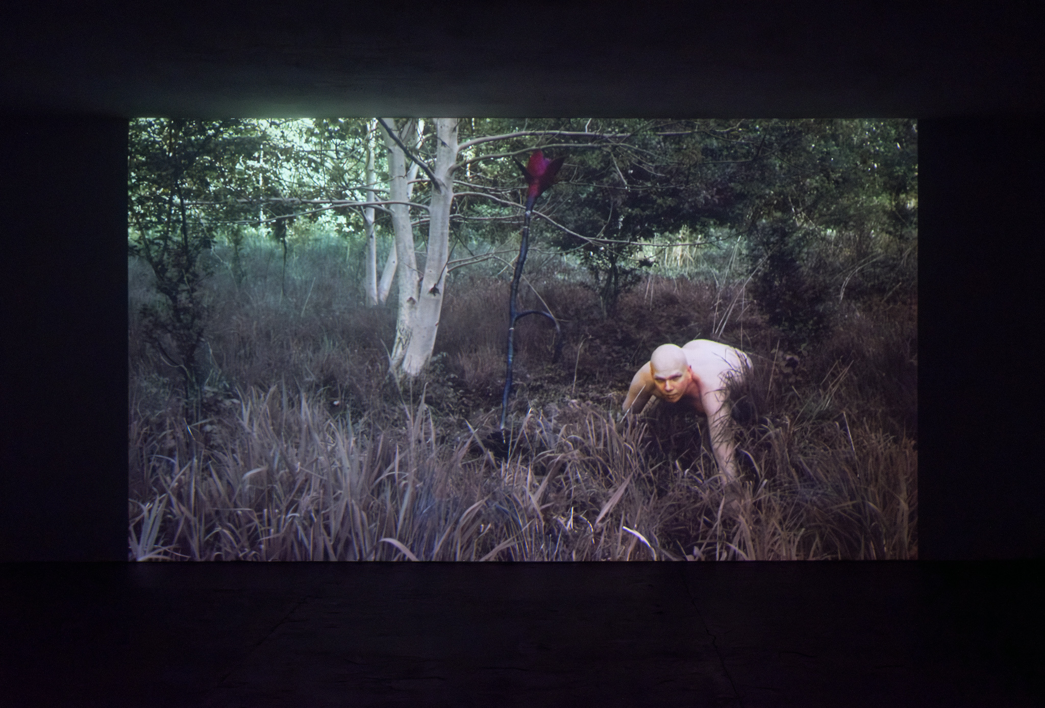 Jędrzej Bieńko, „Untitled", 2023, video, 03’27’’,courtesy of the artist and Pola Magnetyczne Gallery, phot. B. Górka
