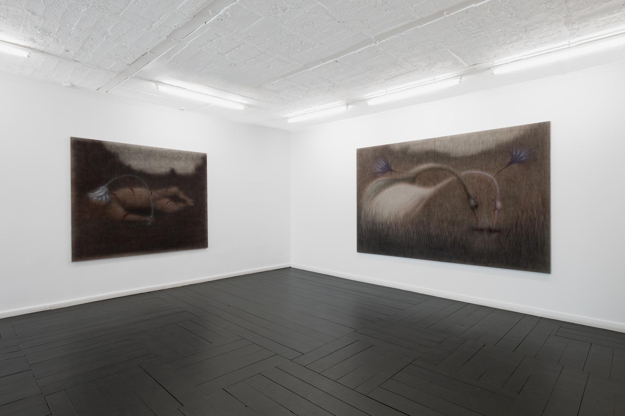 Jędrzej Bieńko, „Human Decomposition”, exhibition view, courtesy of Pola Magnetyczne Gallery, phot. B. Górka