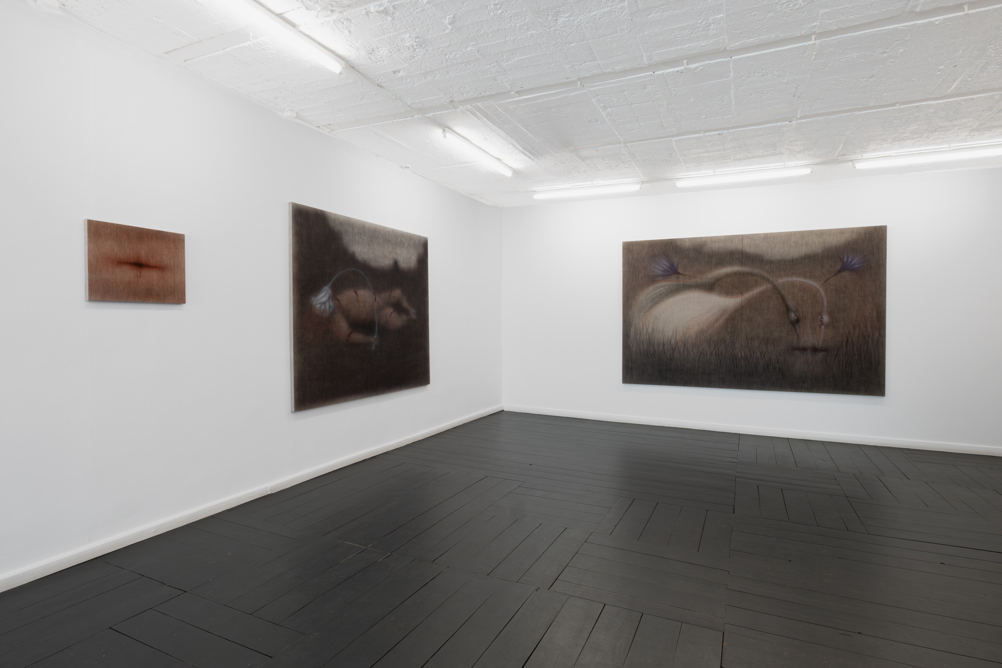 Jędrzej Bieńko, „Human Decomposition”, exhibition view, courtesy of Pola Magnetyczne Gallery, phot. B. Górka