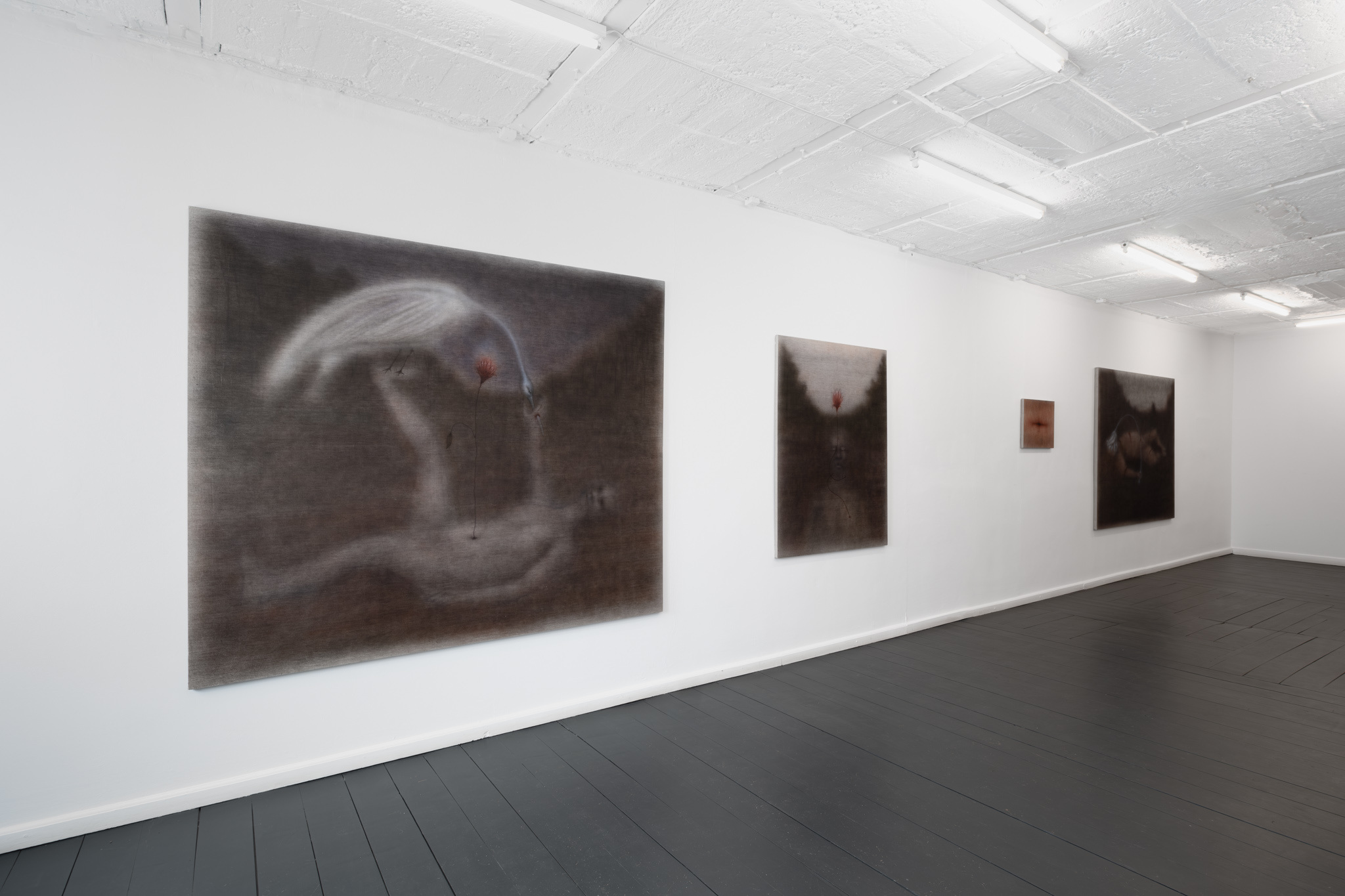Jędrzej Bieńko, „Human Decomposition”, exhibition view, courtesy of Pola Magnetyczne Gallery, phot. B. Górka