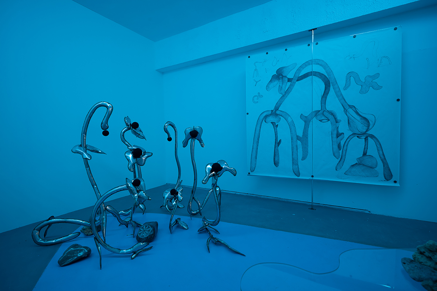 In Another Life I was a Stone, installation view