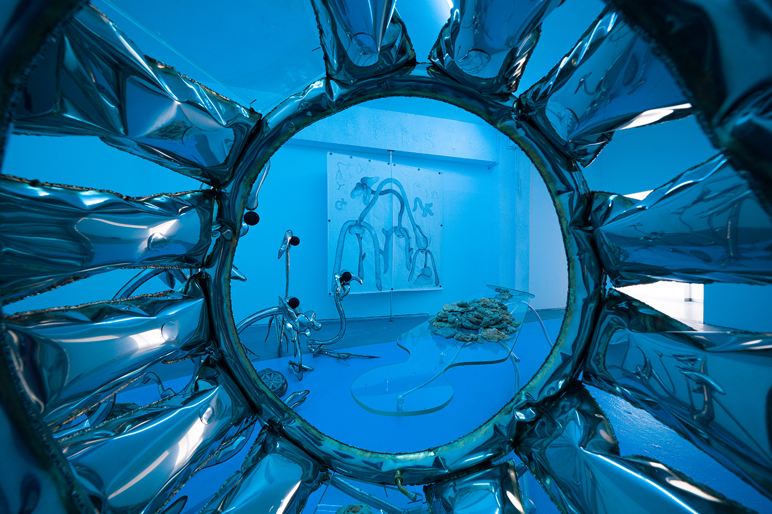 Ovidiu Toader, In Another Life I was a Stone, installation view