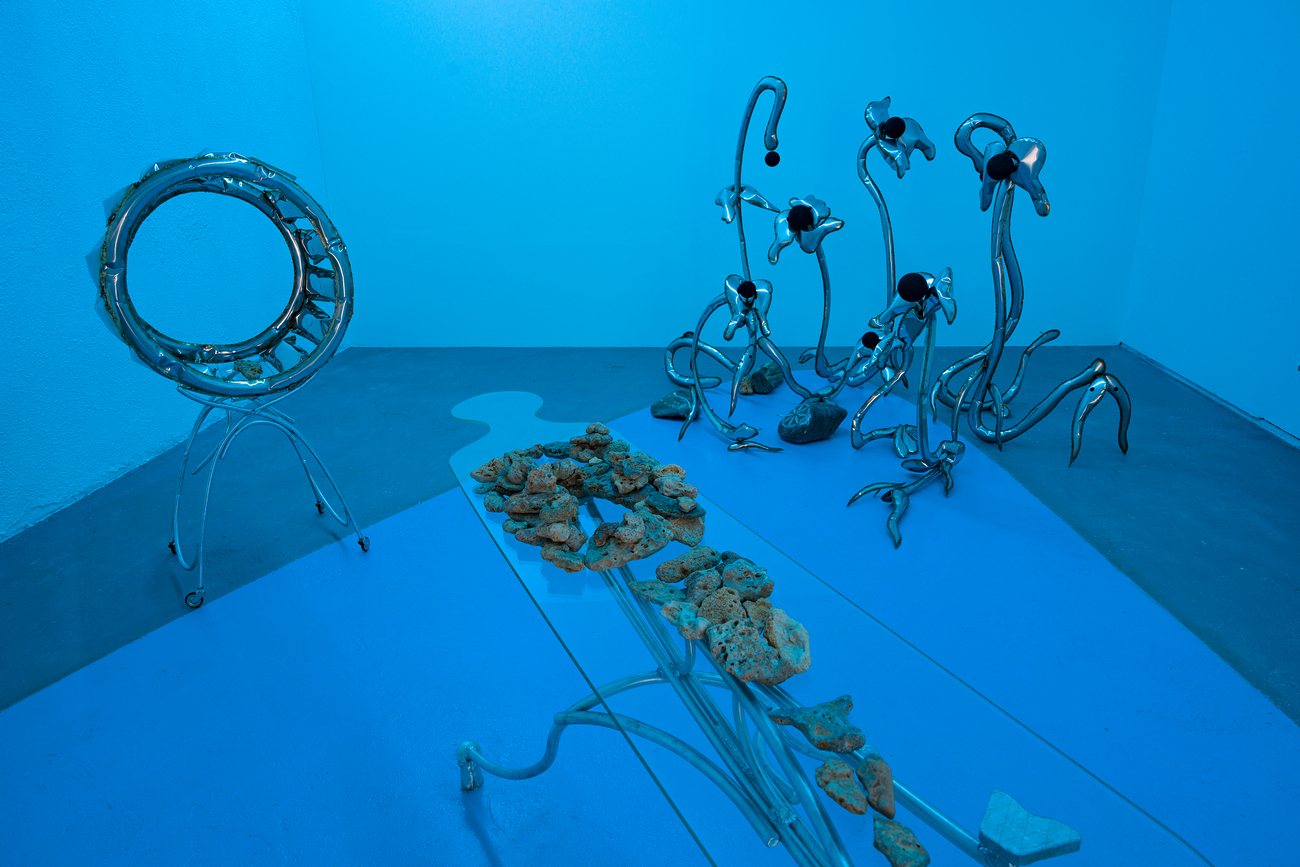 In Another Life I was a Stone, installation view