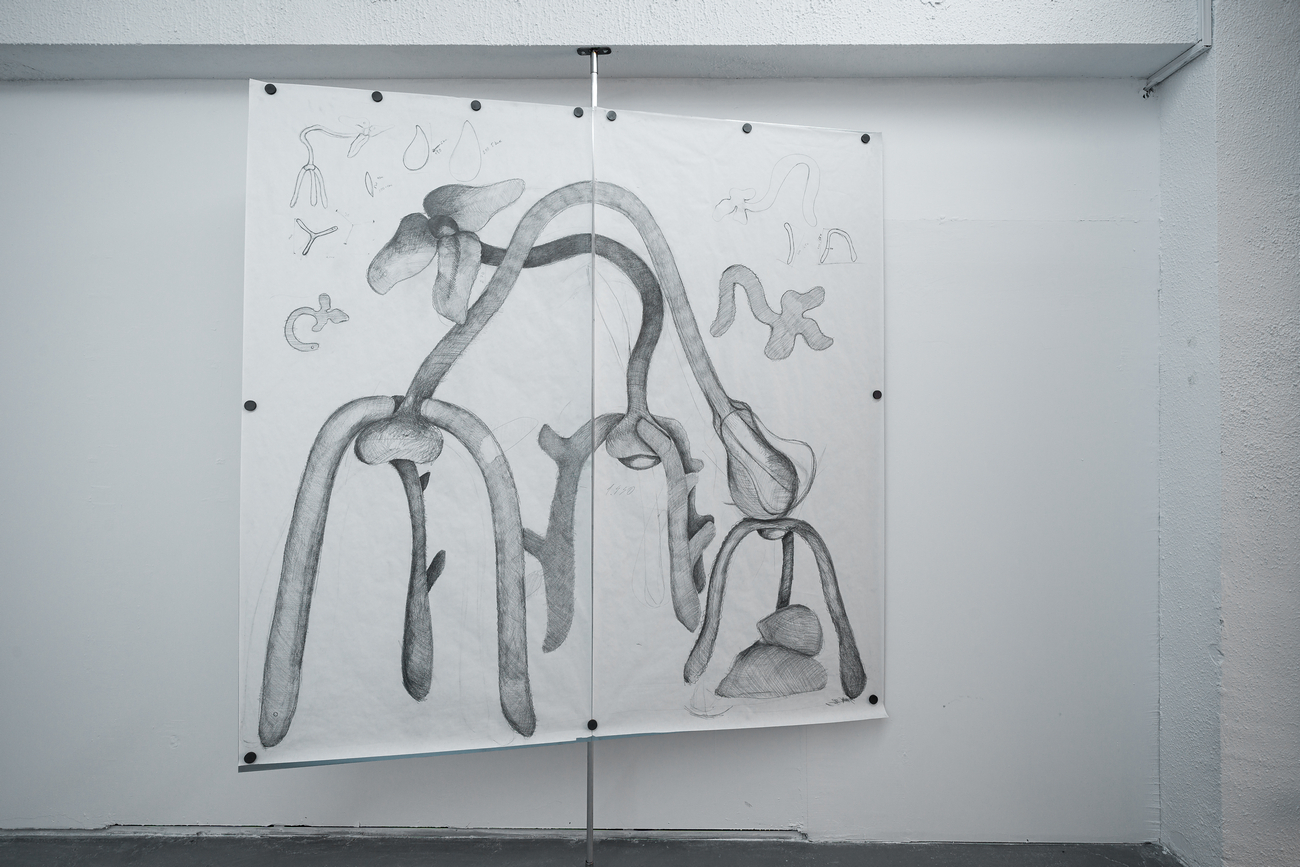 Ovidiu Toader, The Collectors, 2023 pencil on paper 200 x 200 cm