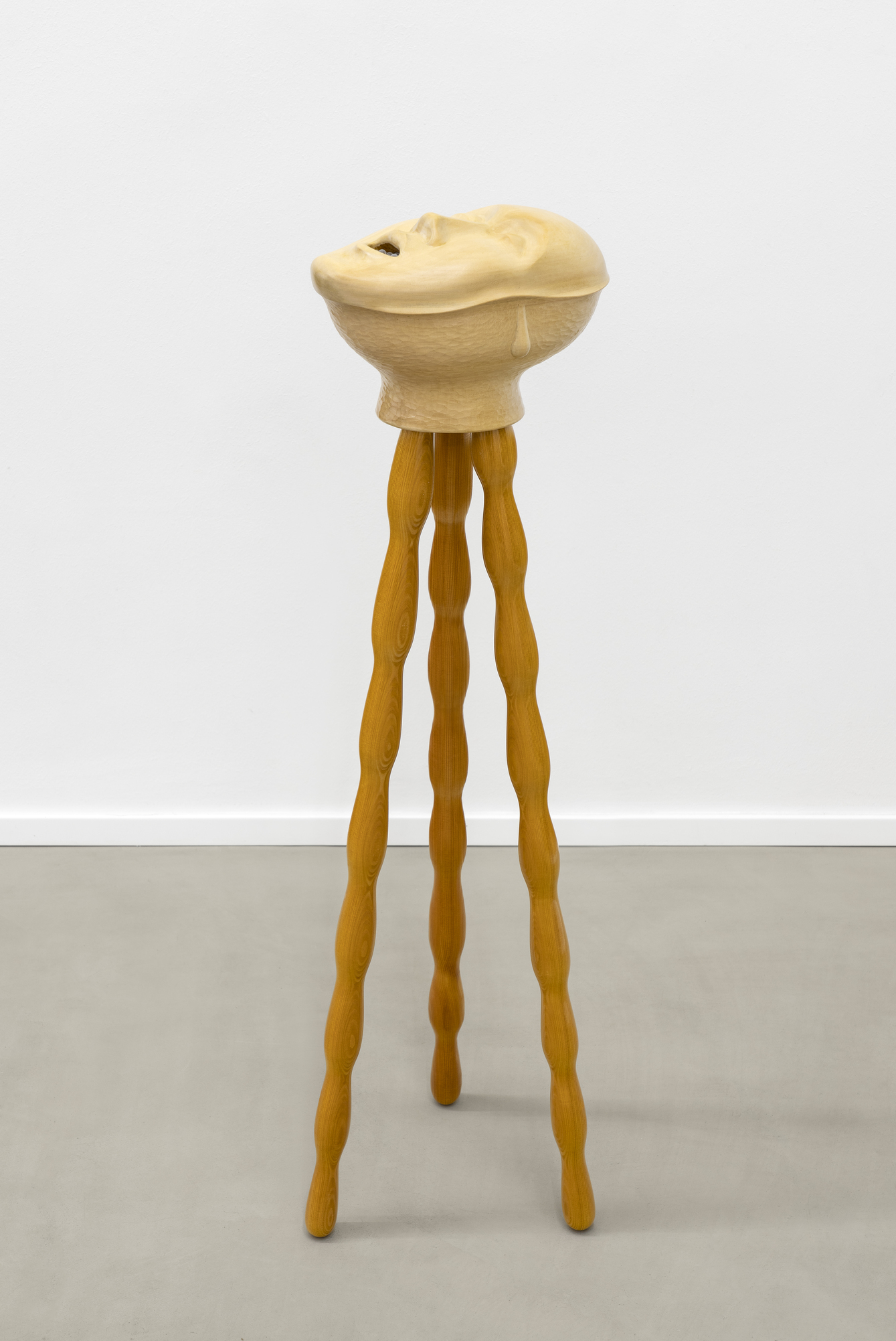 Eliška Konečná, A Jar Full of Words, 2023, wood, 60 x 70 x 15 cm 